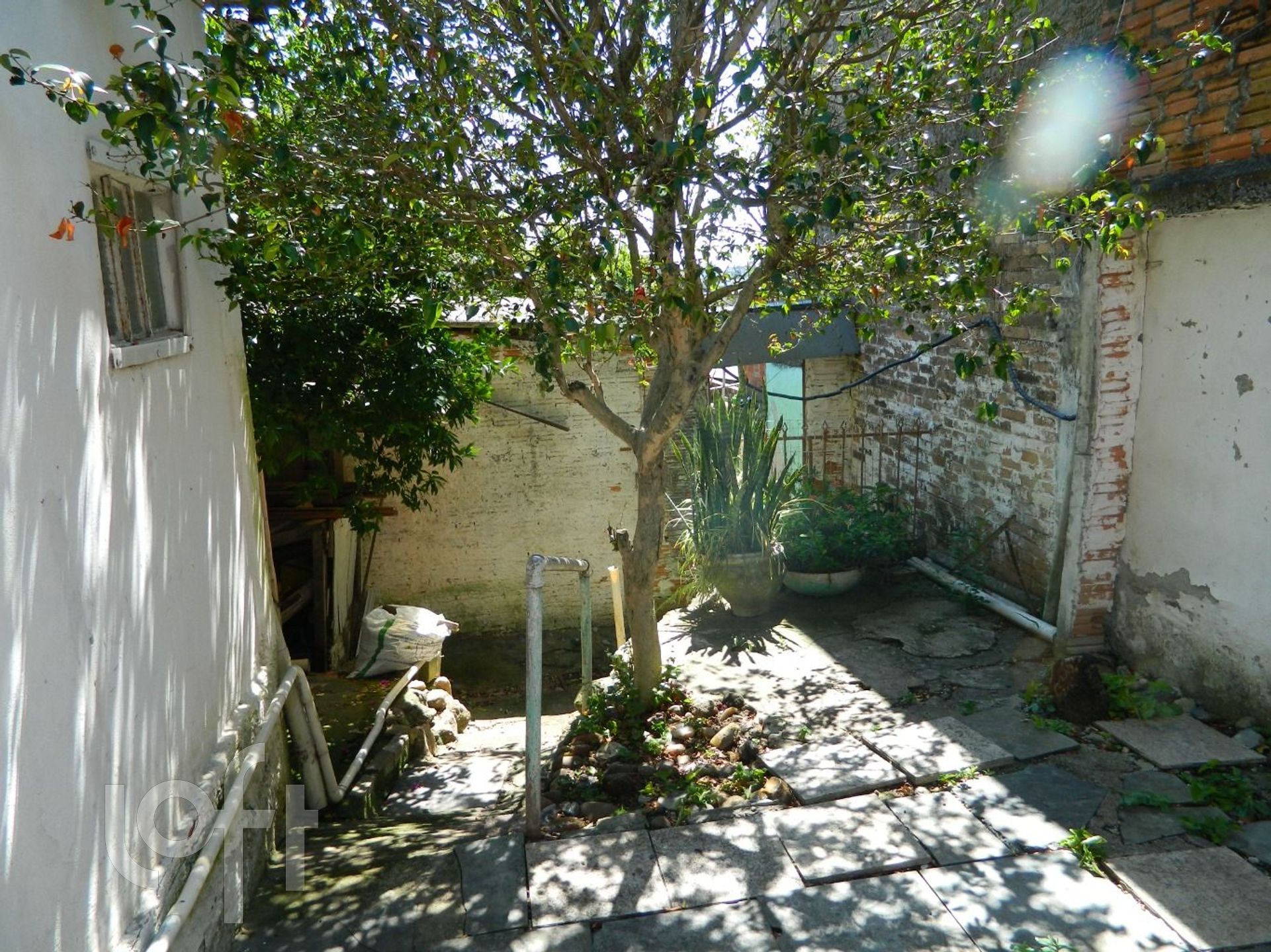 Imagem da propriedade 20