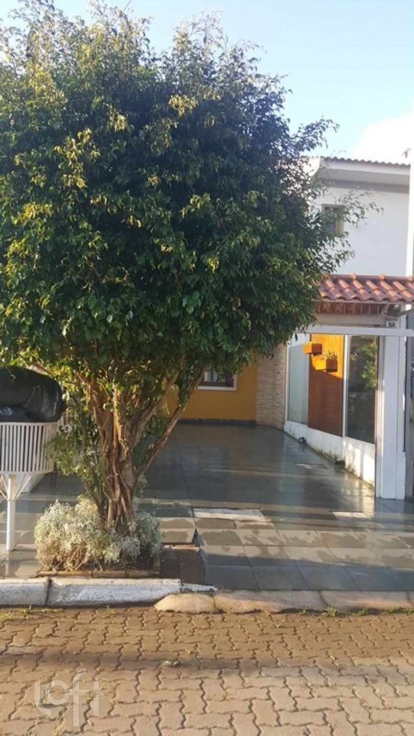 Imagem da propriedade 3