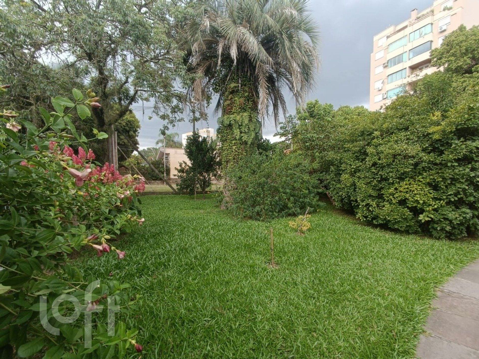 Imagem da propriedade 5