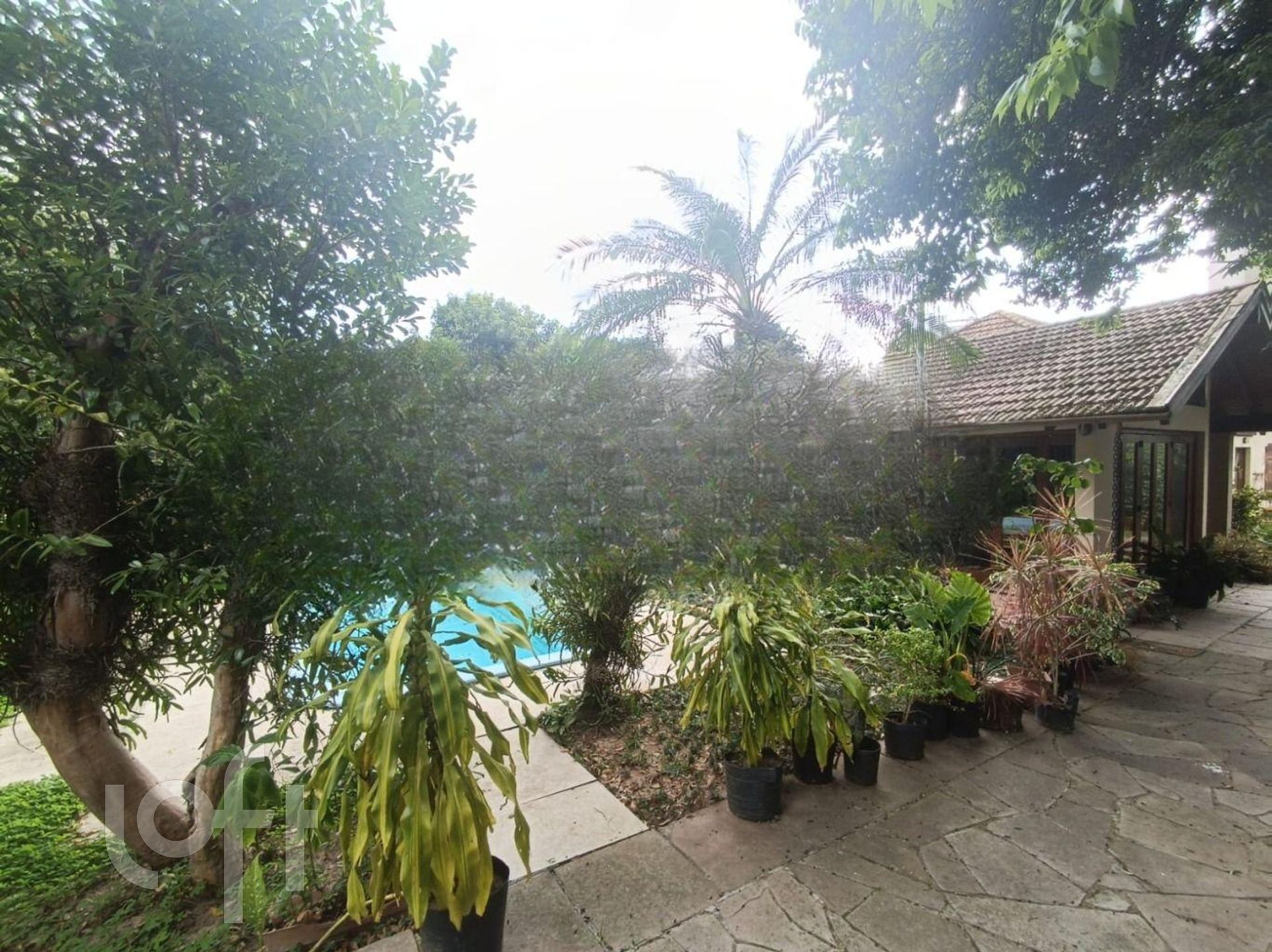 Imagem da propriedade 11