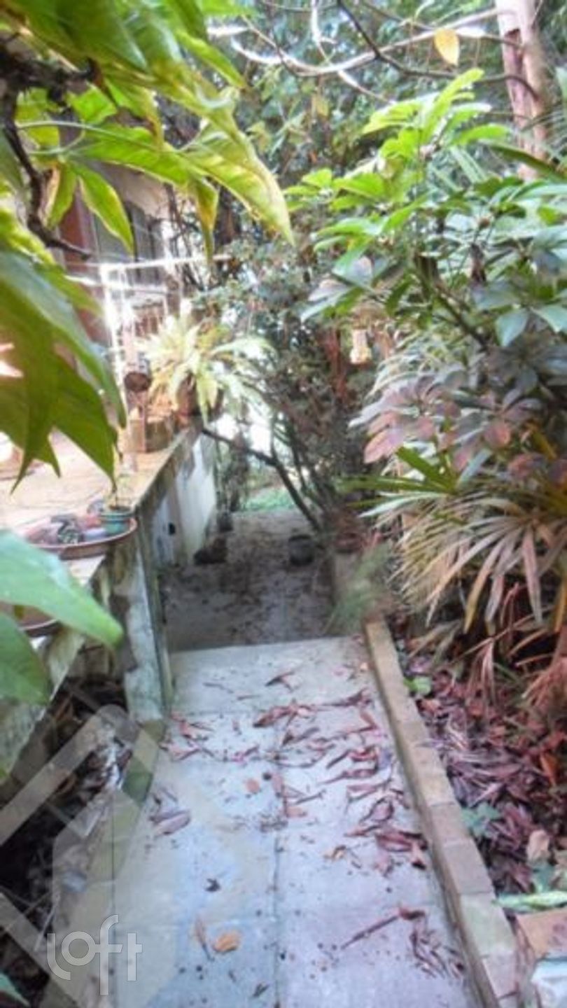 Imagem da propriedade 4