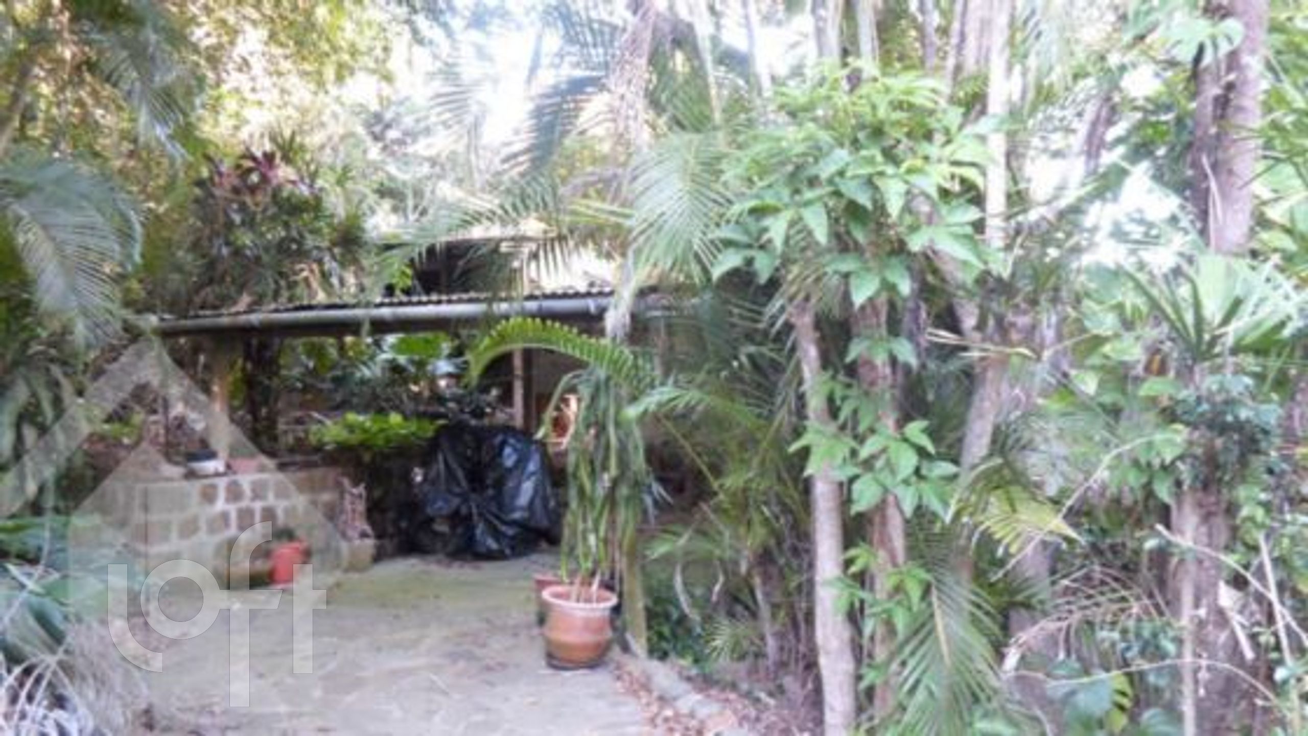 Imagem da propriedade 6