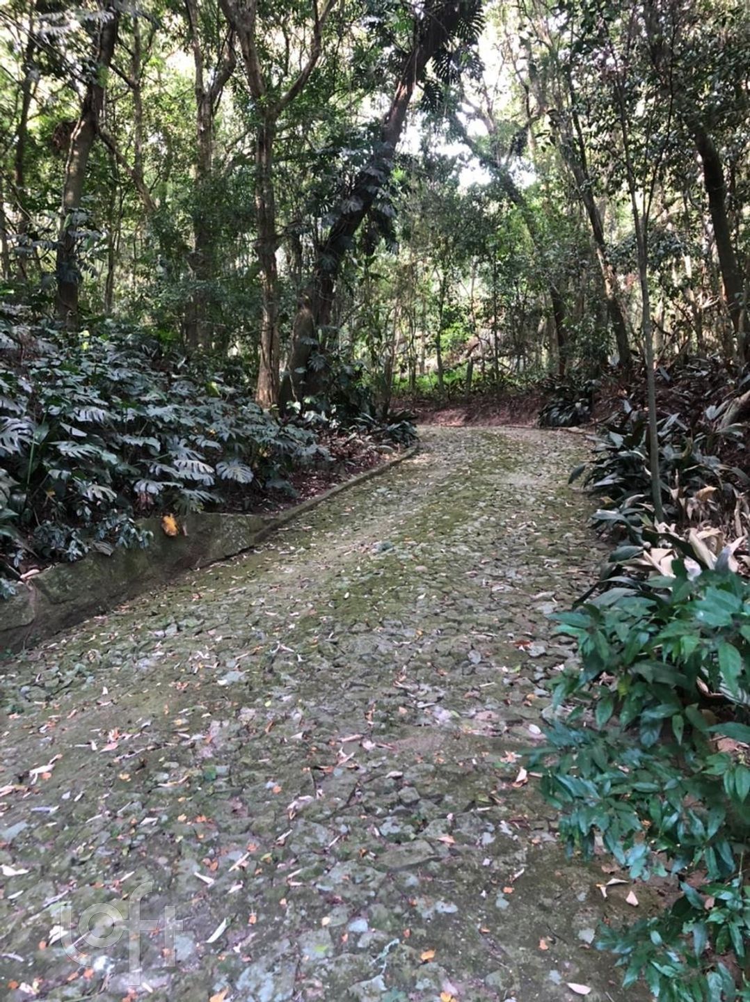 Imagem da propriedade 69