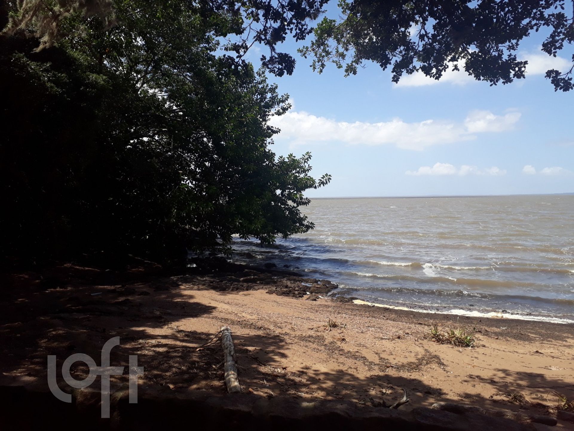 Imagem da propriedade 30