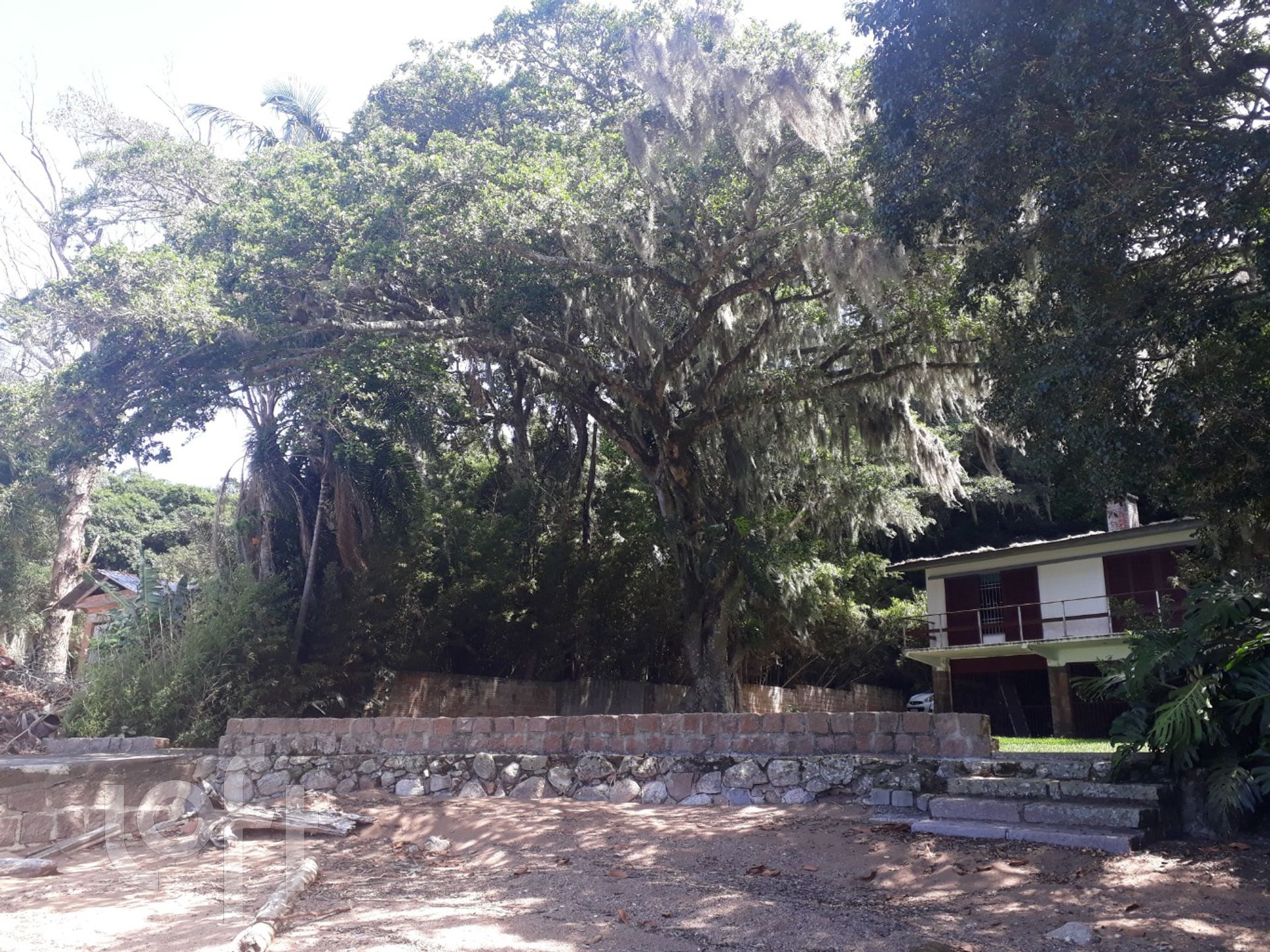 Imagem da propriedade 40