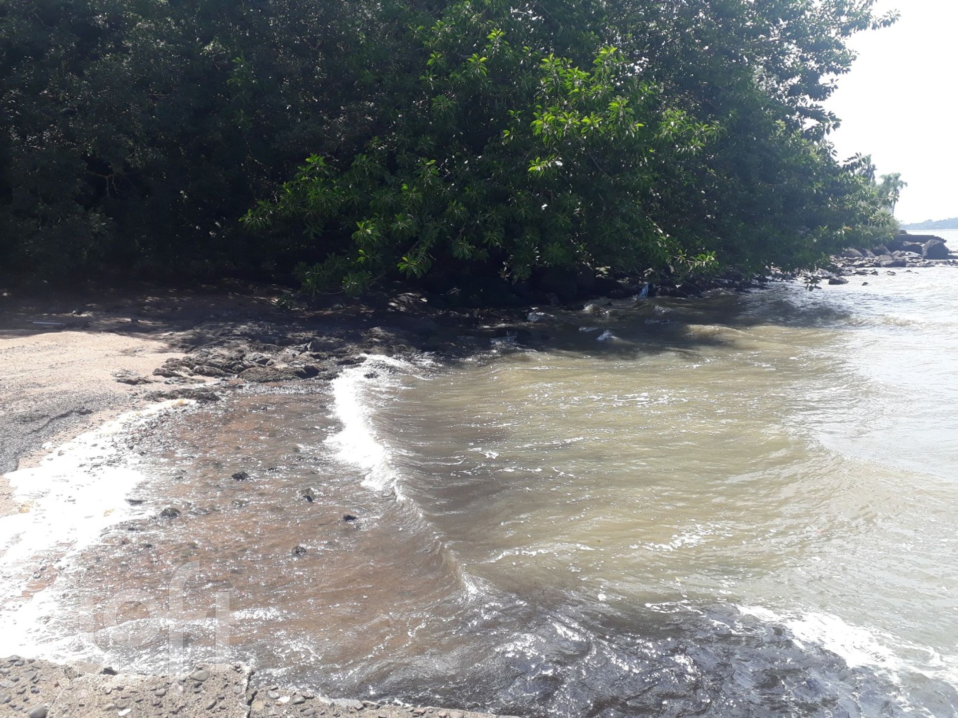 Imagem da propriedade 35