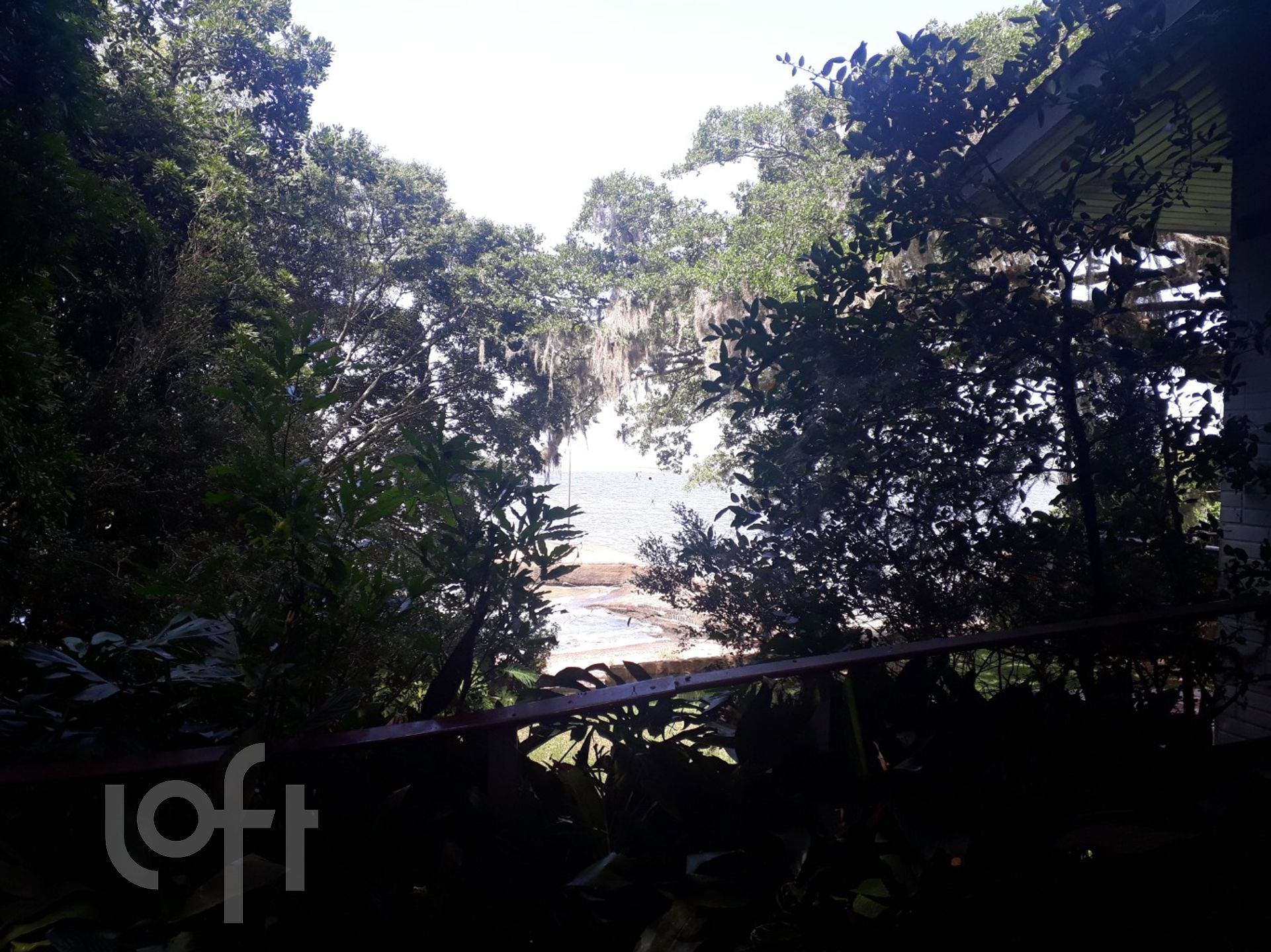 Imagem da propriedade 49