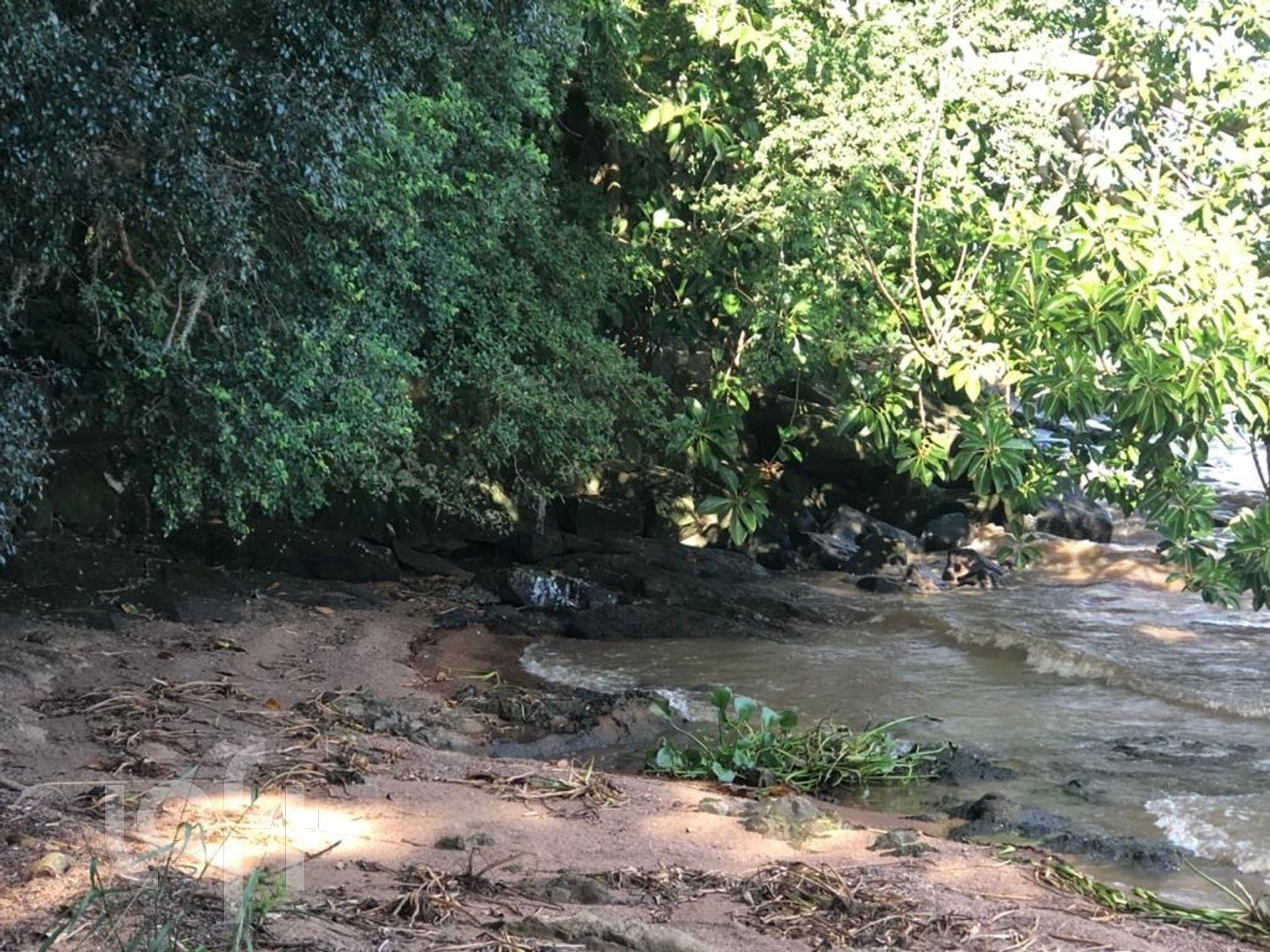 Imagem da propriedade 81