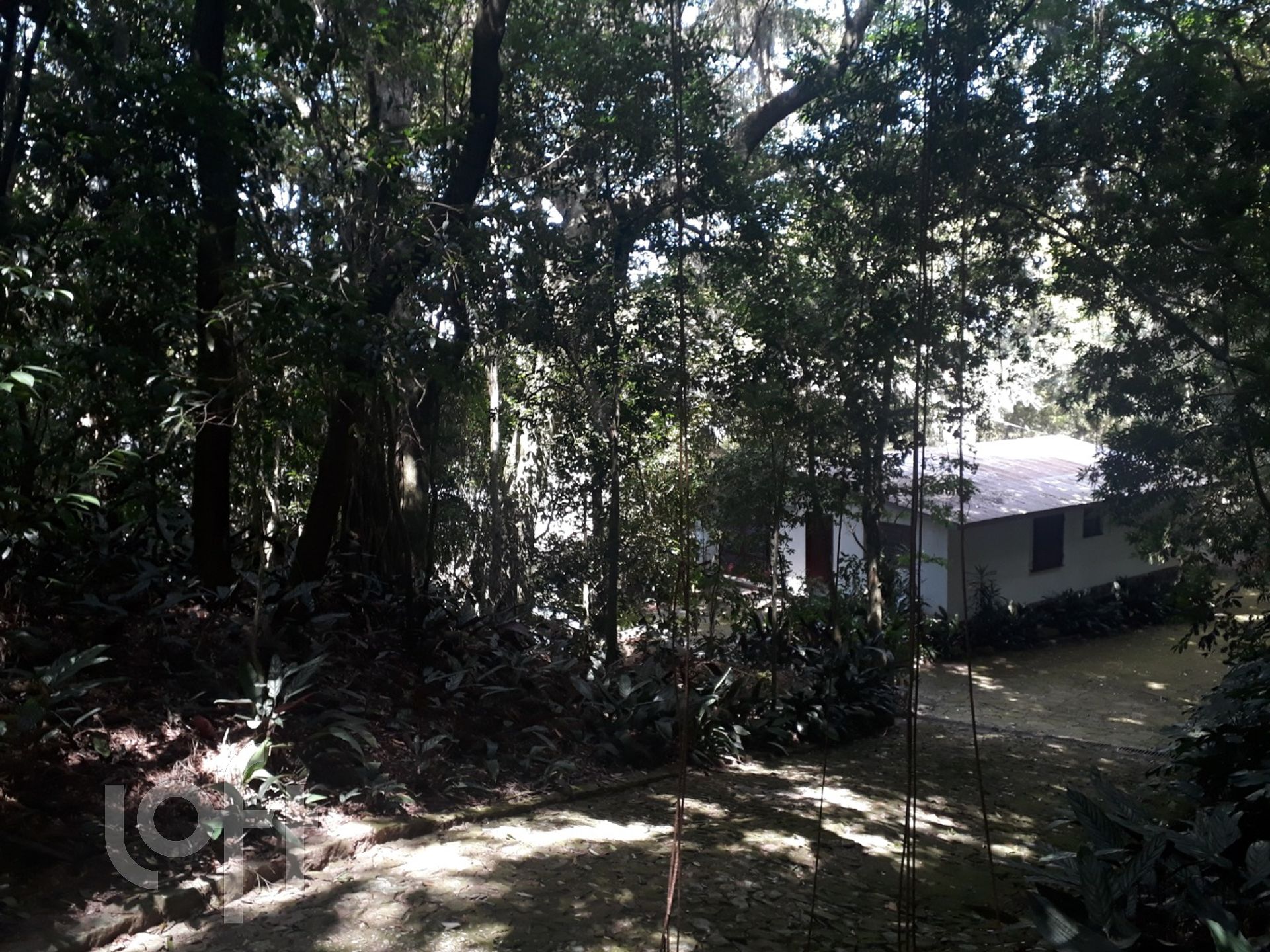 Imagem da propriedade 54