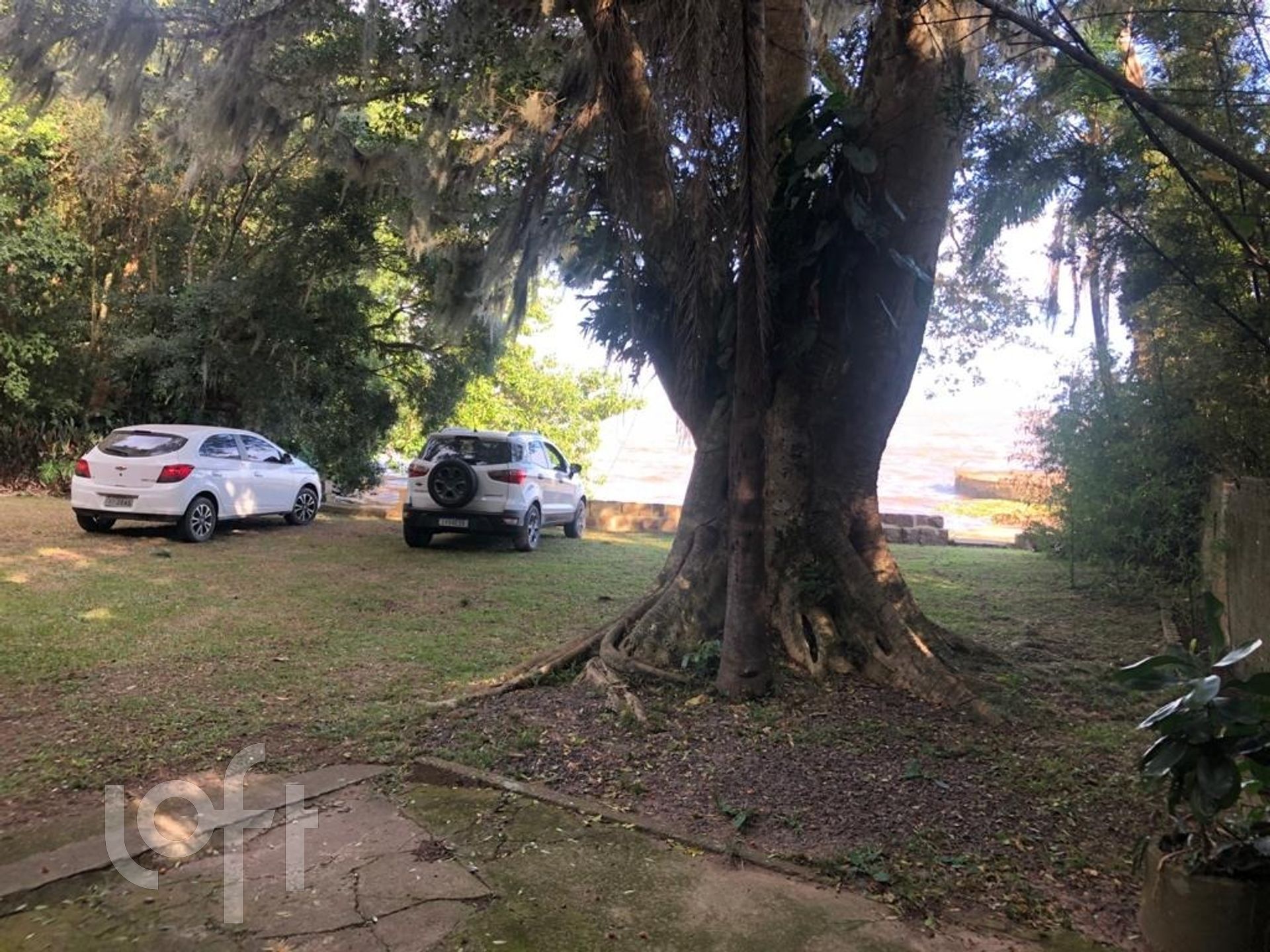 Imagem da propriedade 79