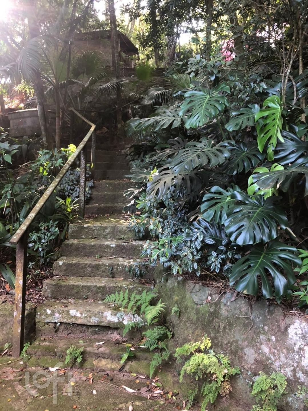 Imagem da propriedade 62