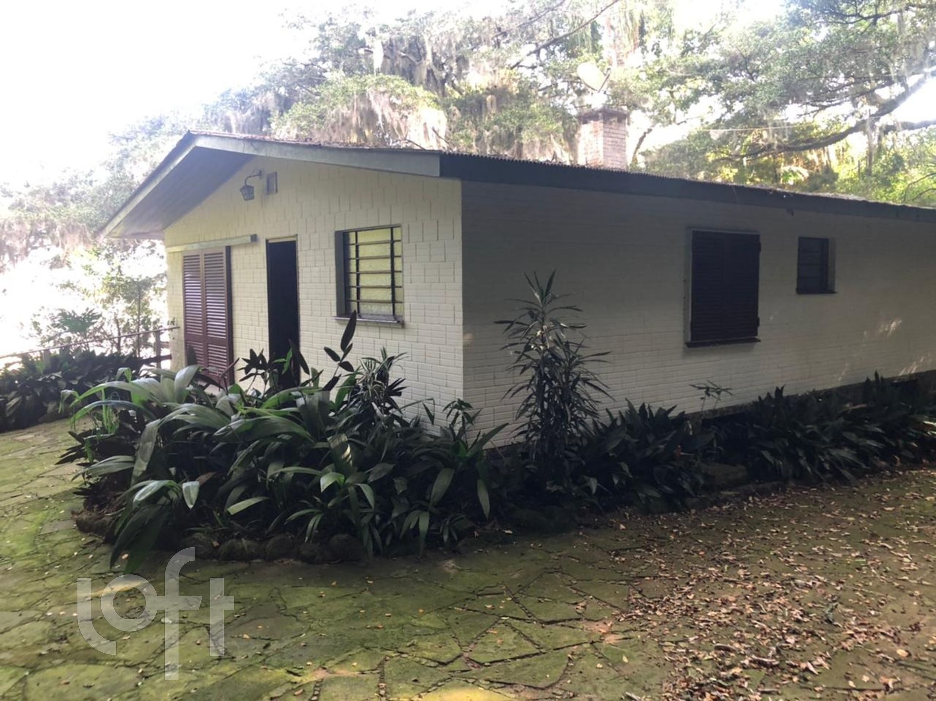 Imagem da propriedade 3