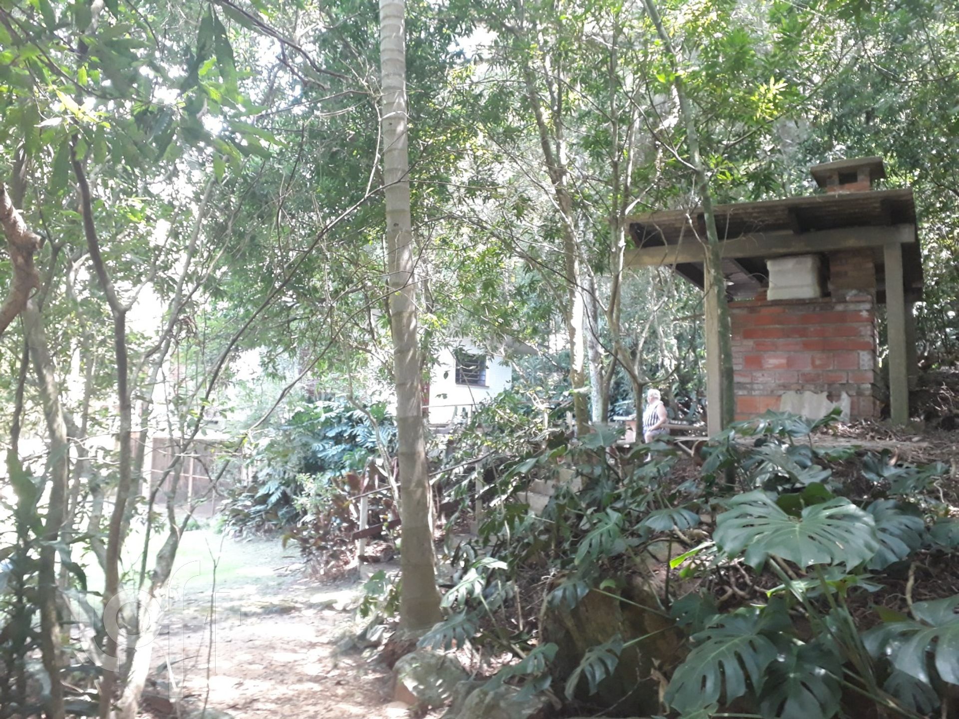 Imagem da propriedade 46