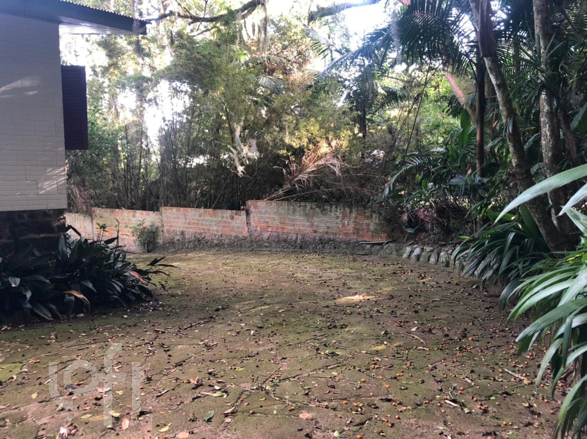 Imagem da propriedade 67