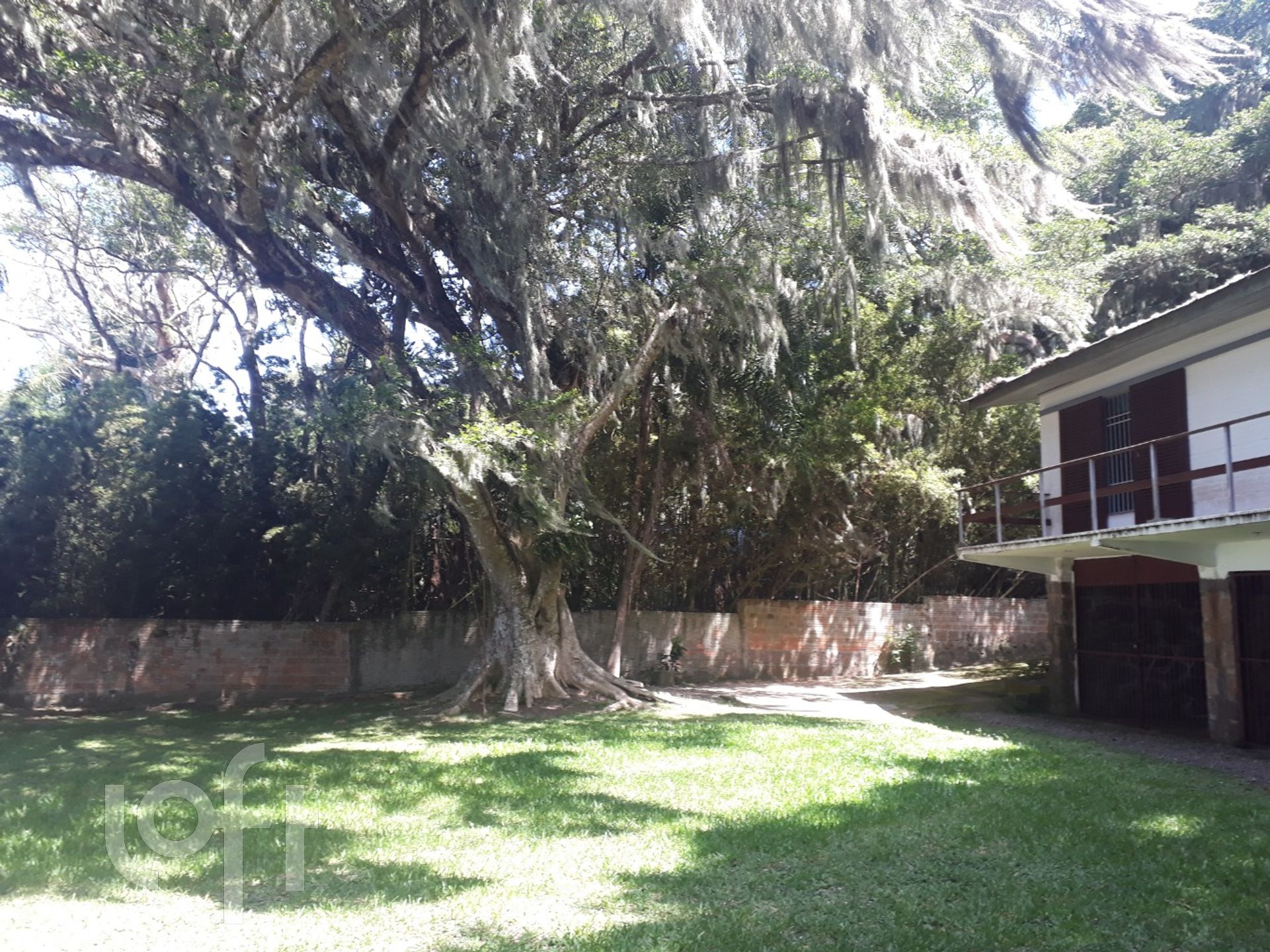 Imagem da propriedade 6