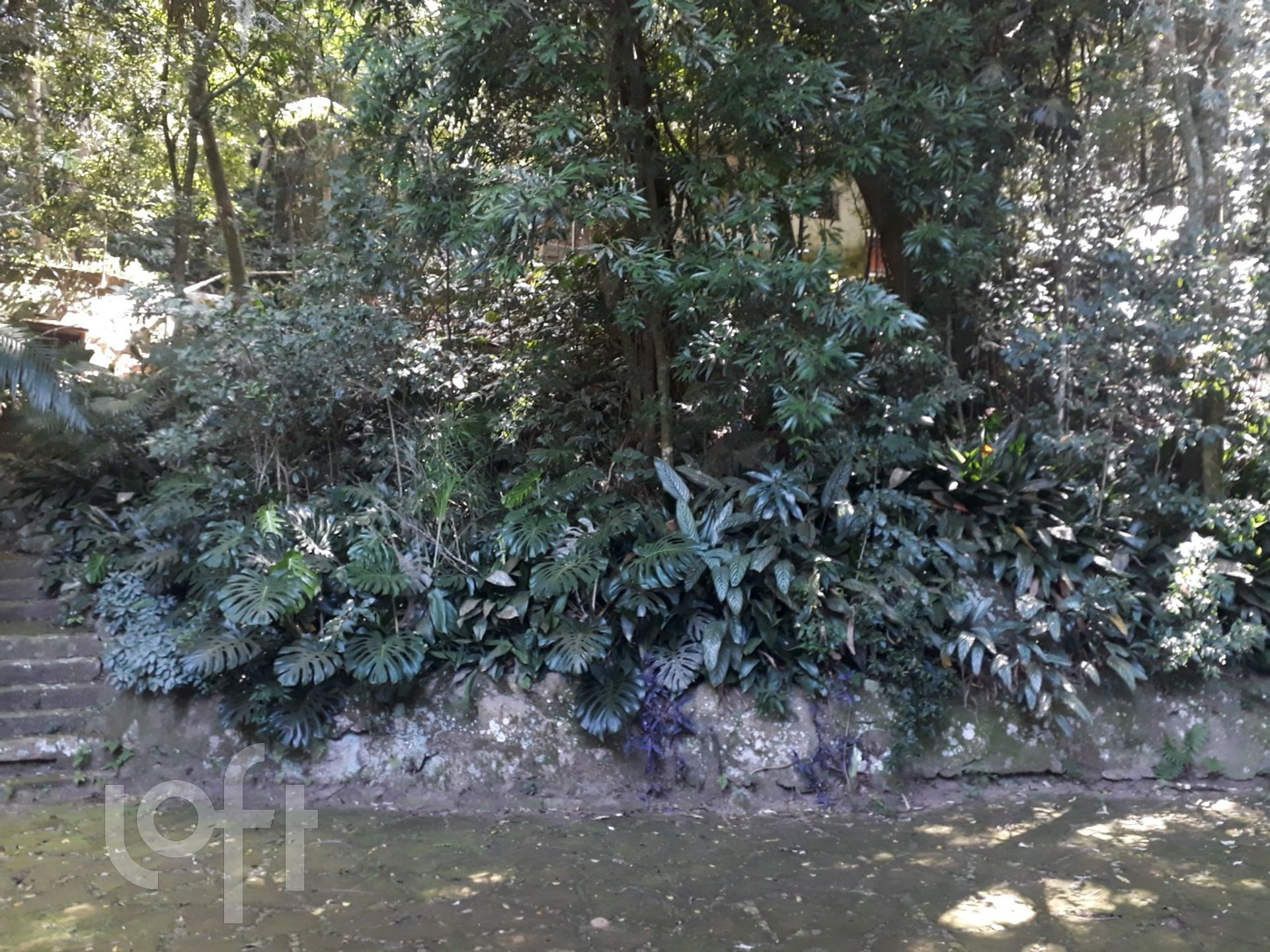 Imagem da propriedade 19