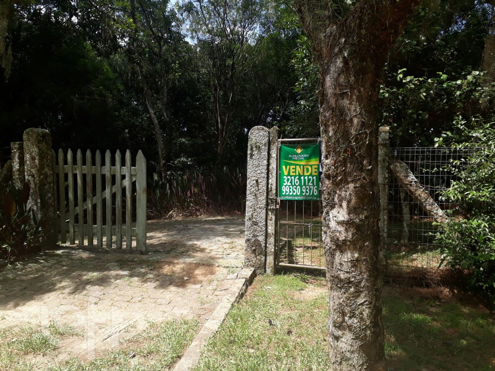 Imagem da propriedade 56