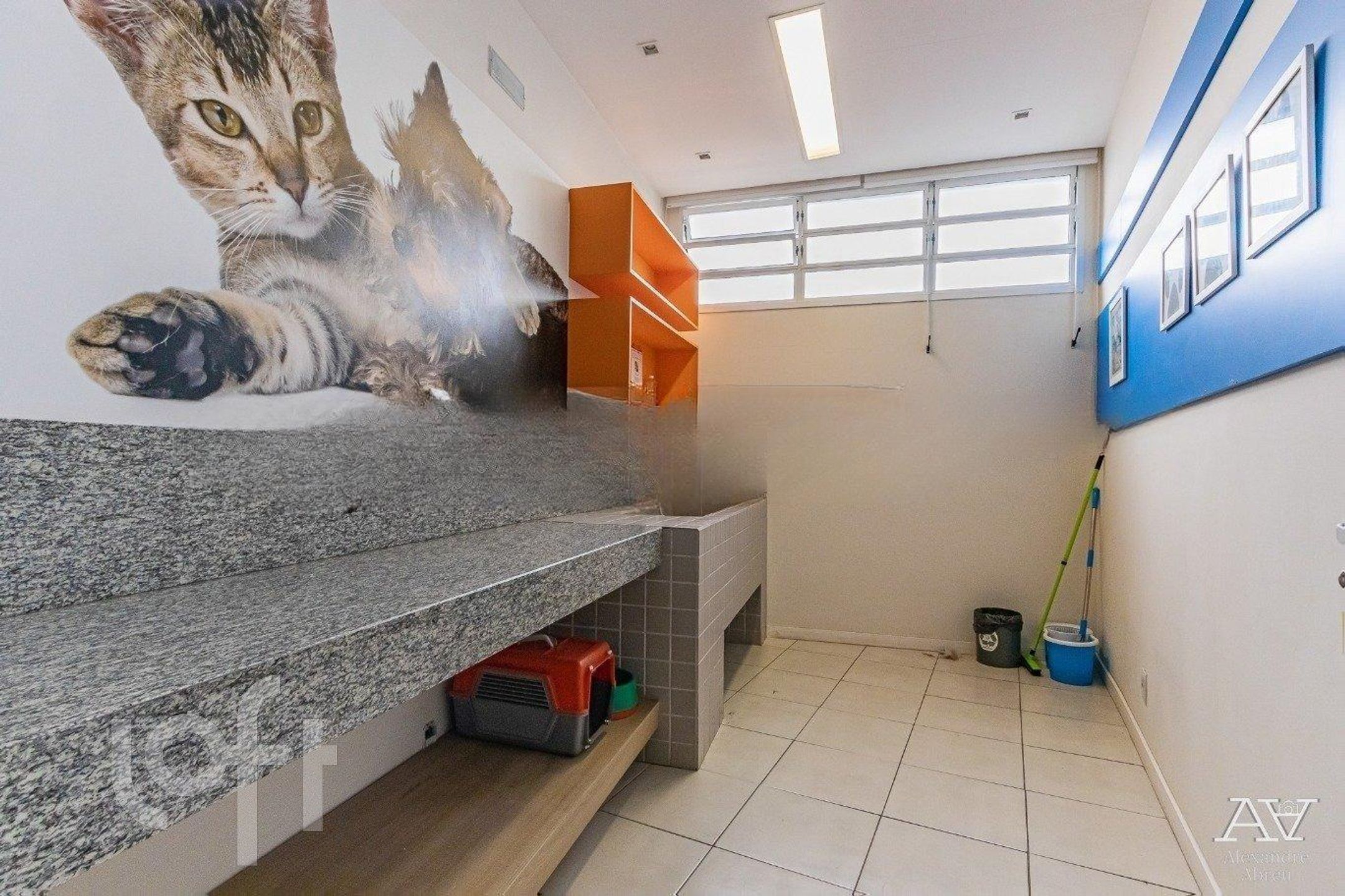 Imagem da propriedade 42