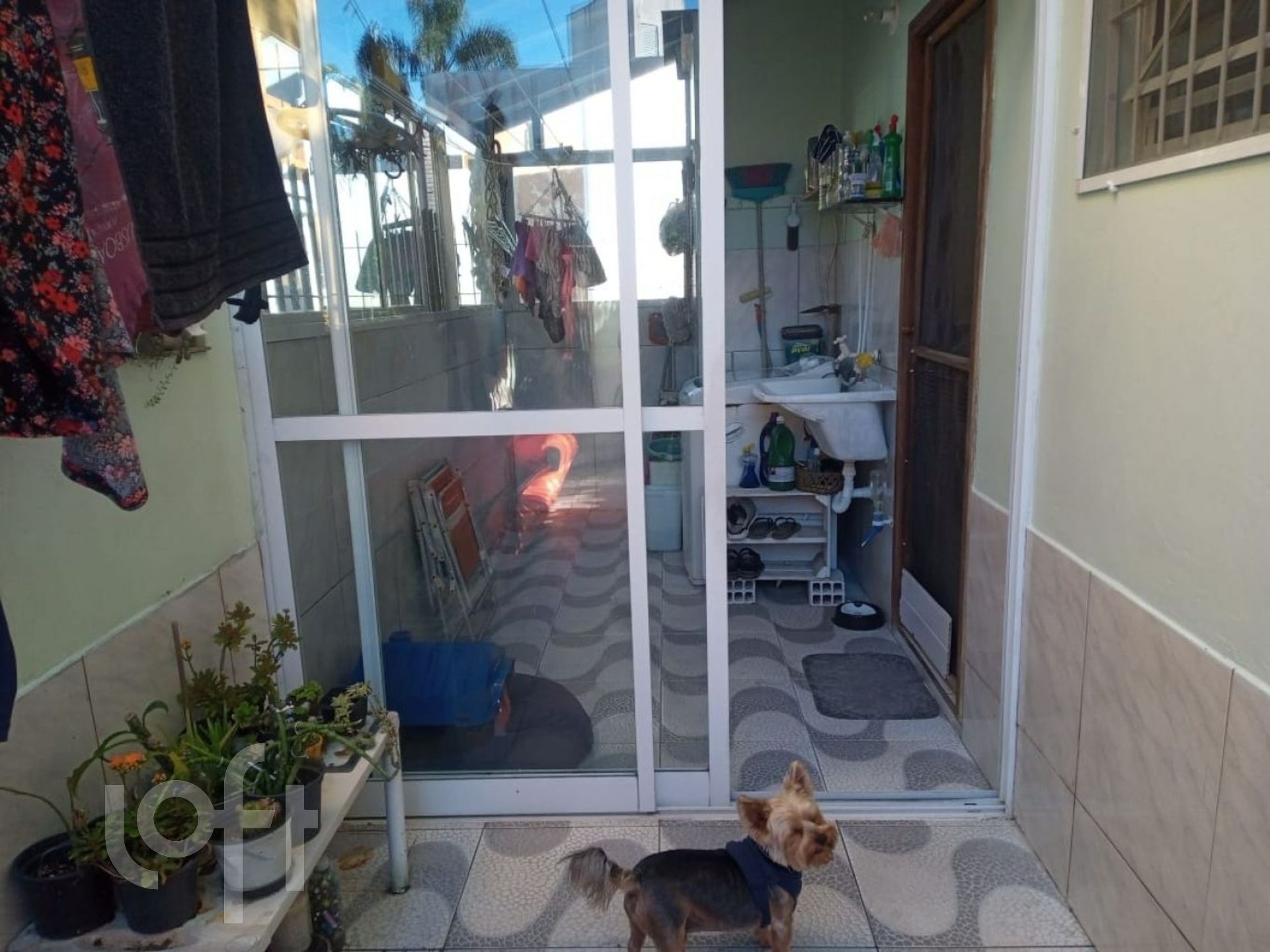 Imagem da propriedade 26