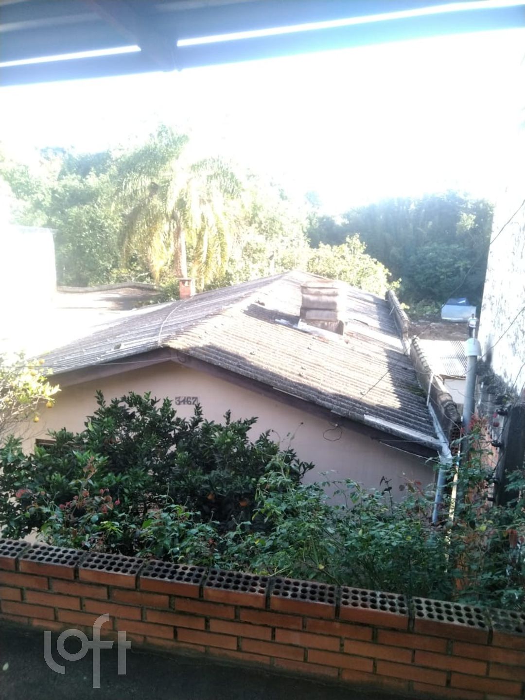 Imagem da propriedade 12