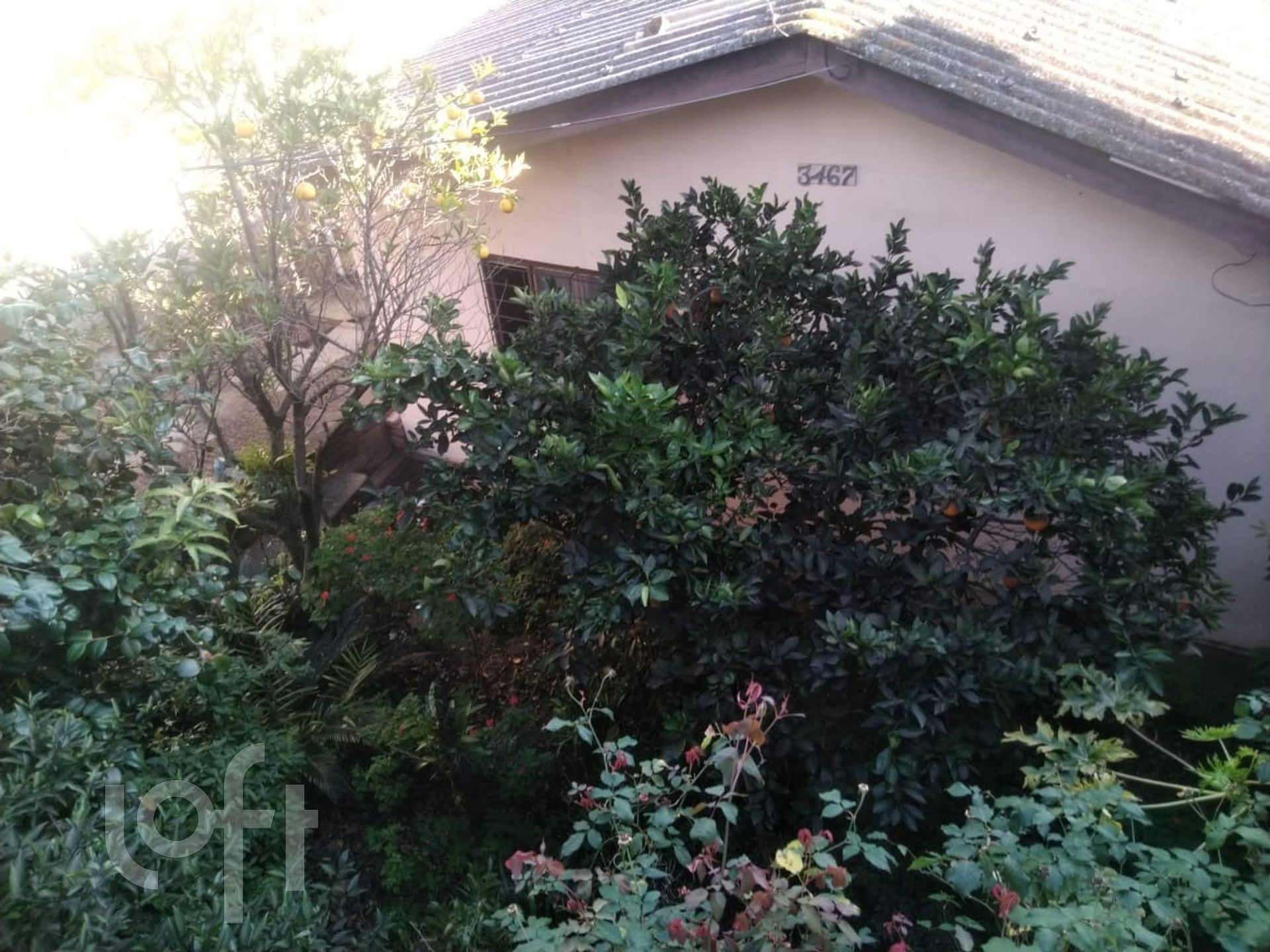 Imagem da propriedade 15