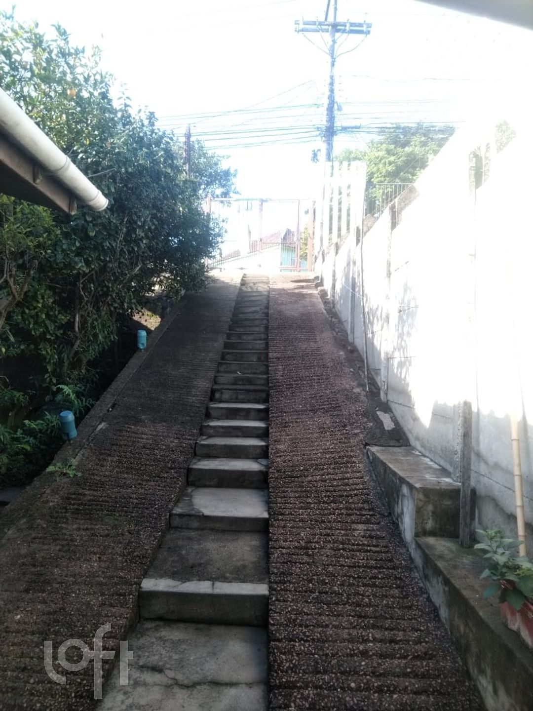 Imagem da propriedade 30