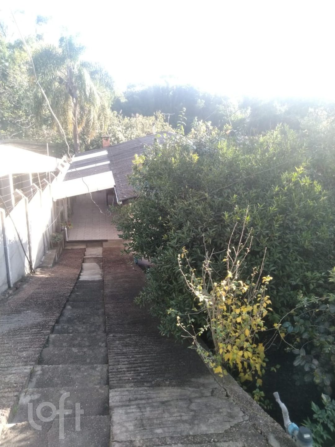 Imagem da propriedade 33