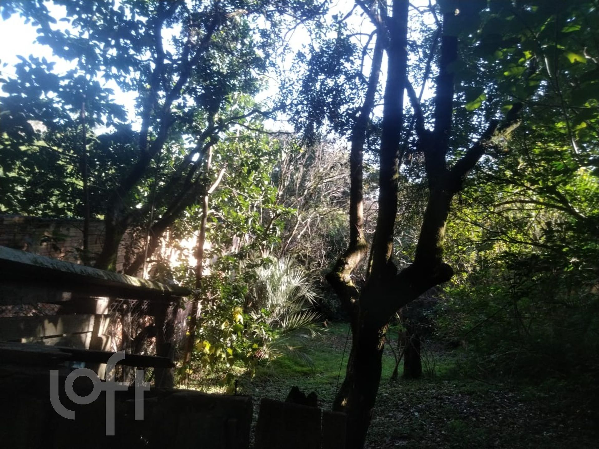 Imagem da propriedade 35