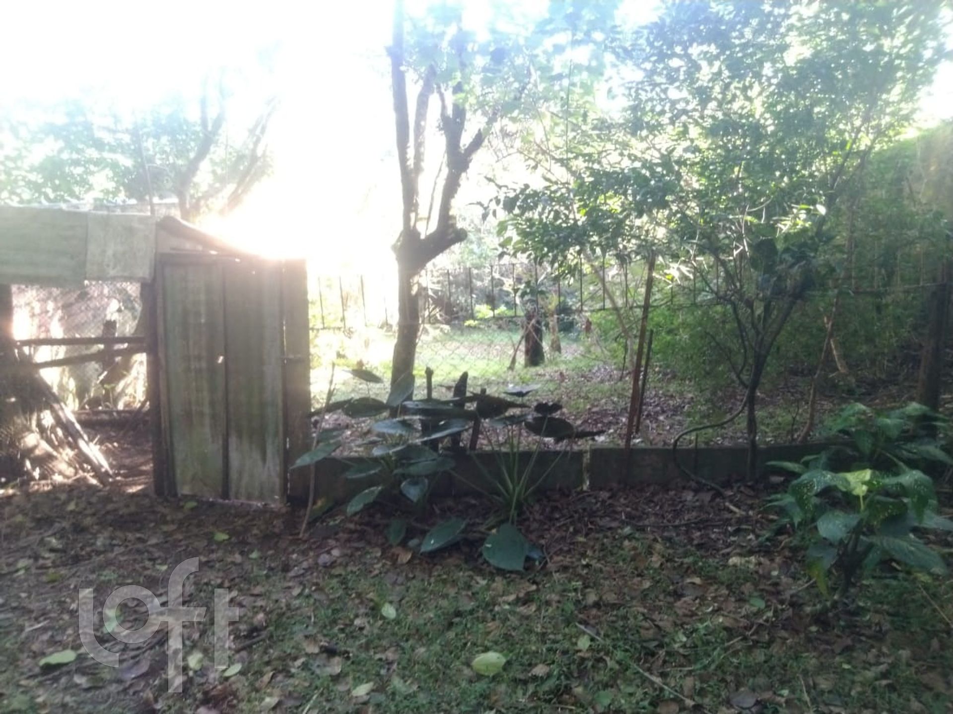 Imagem da propriedade 22