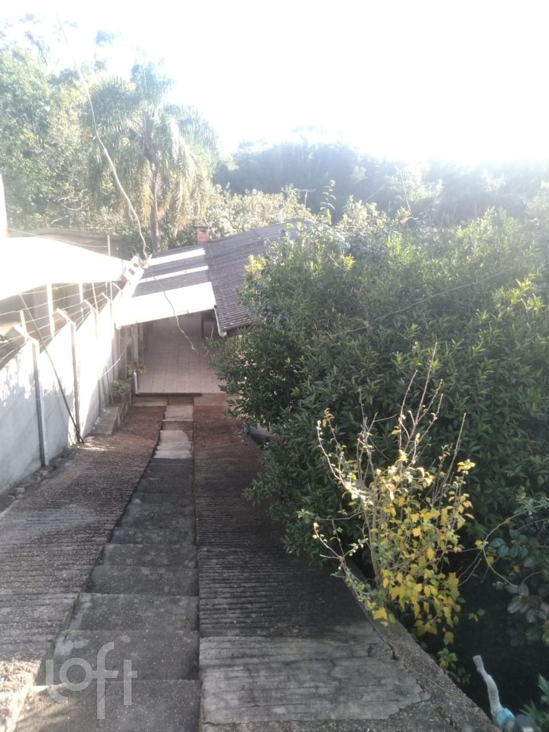 Imagem da propriedade 7