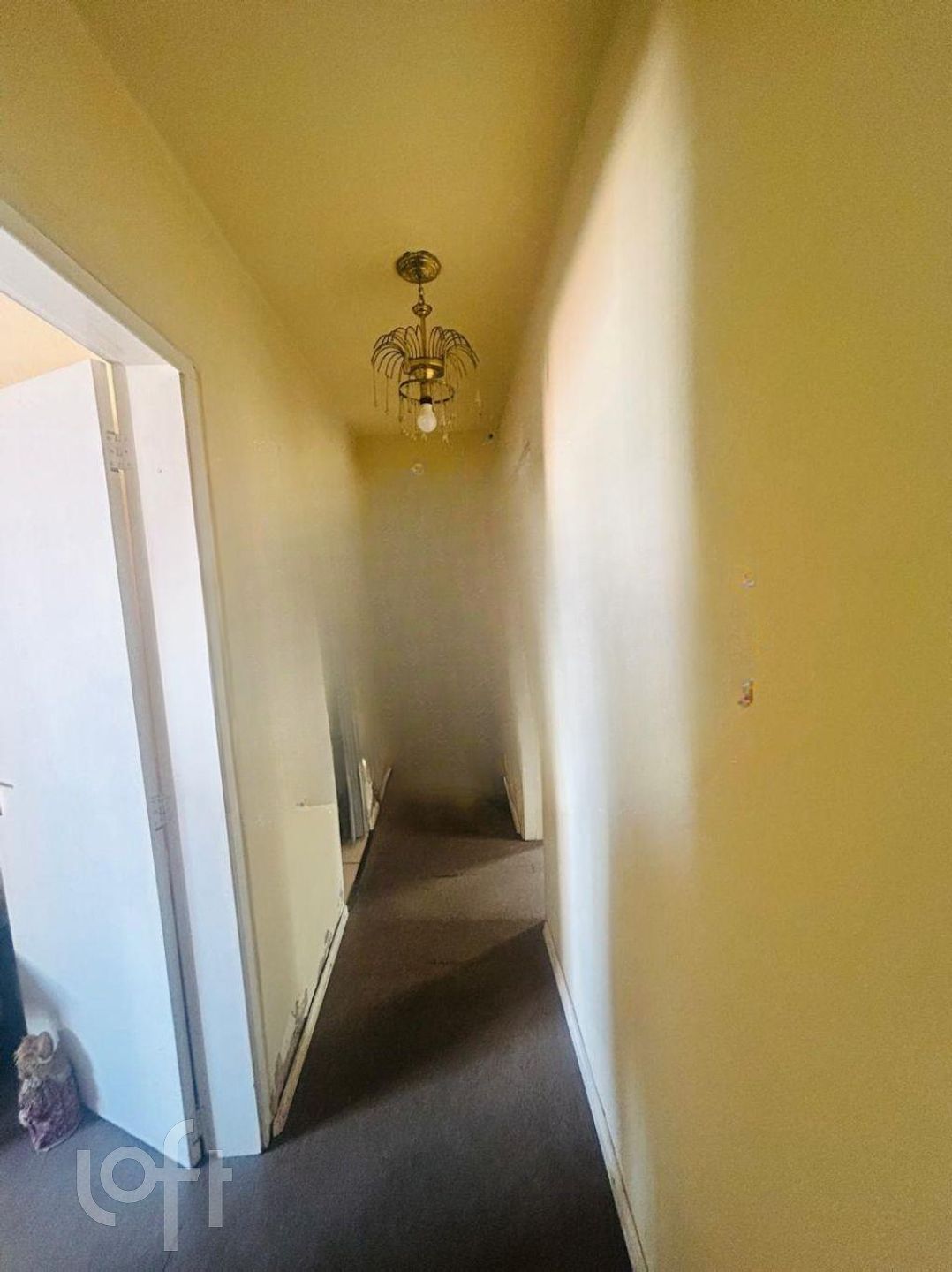 Imagem da propriedade 14