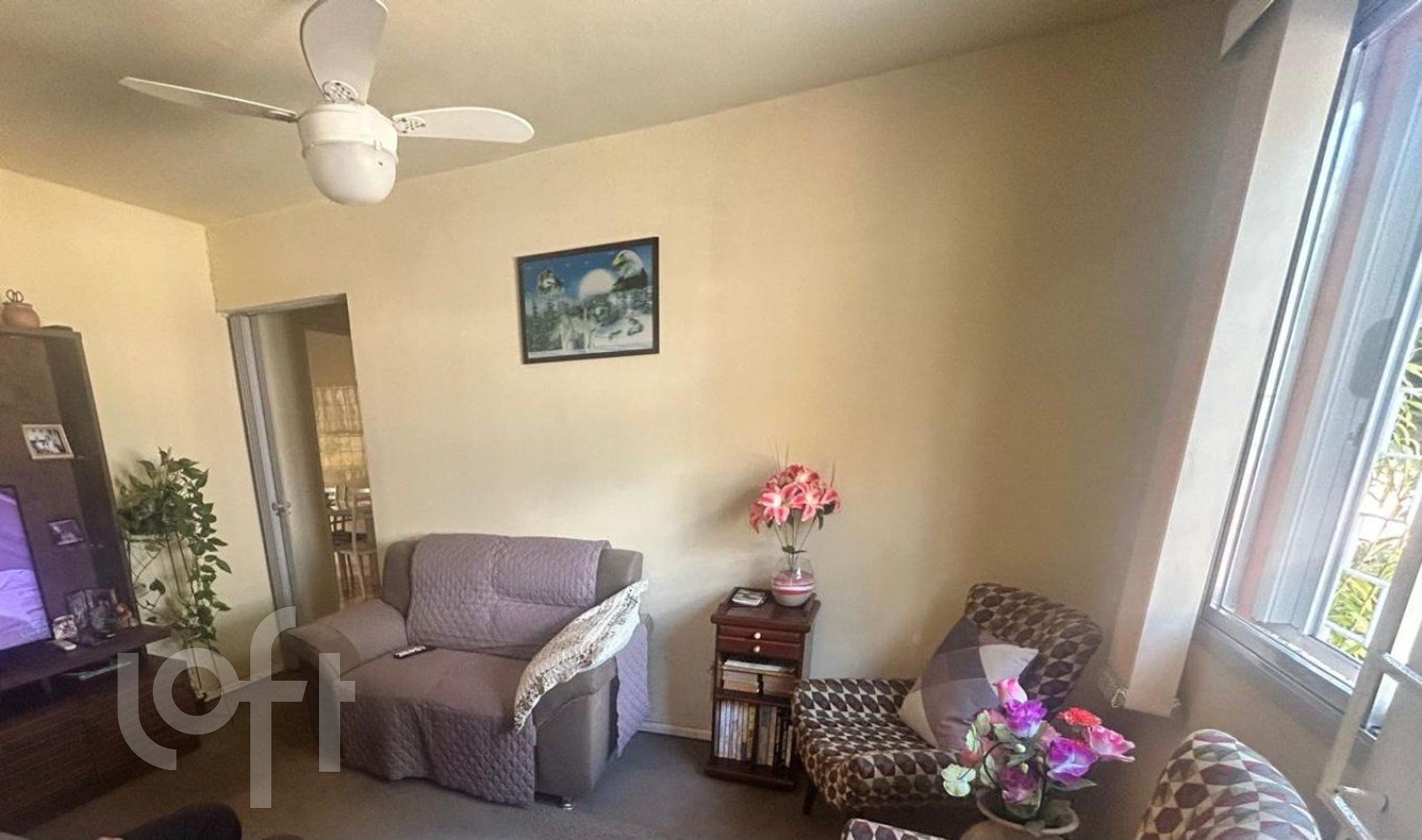 Imagem da propriedade 6