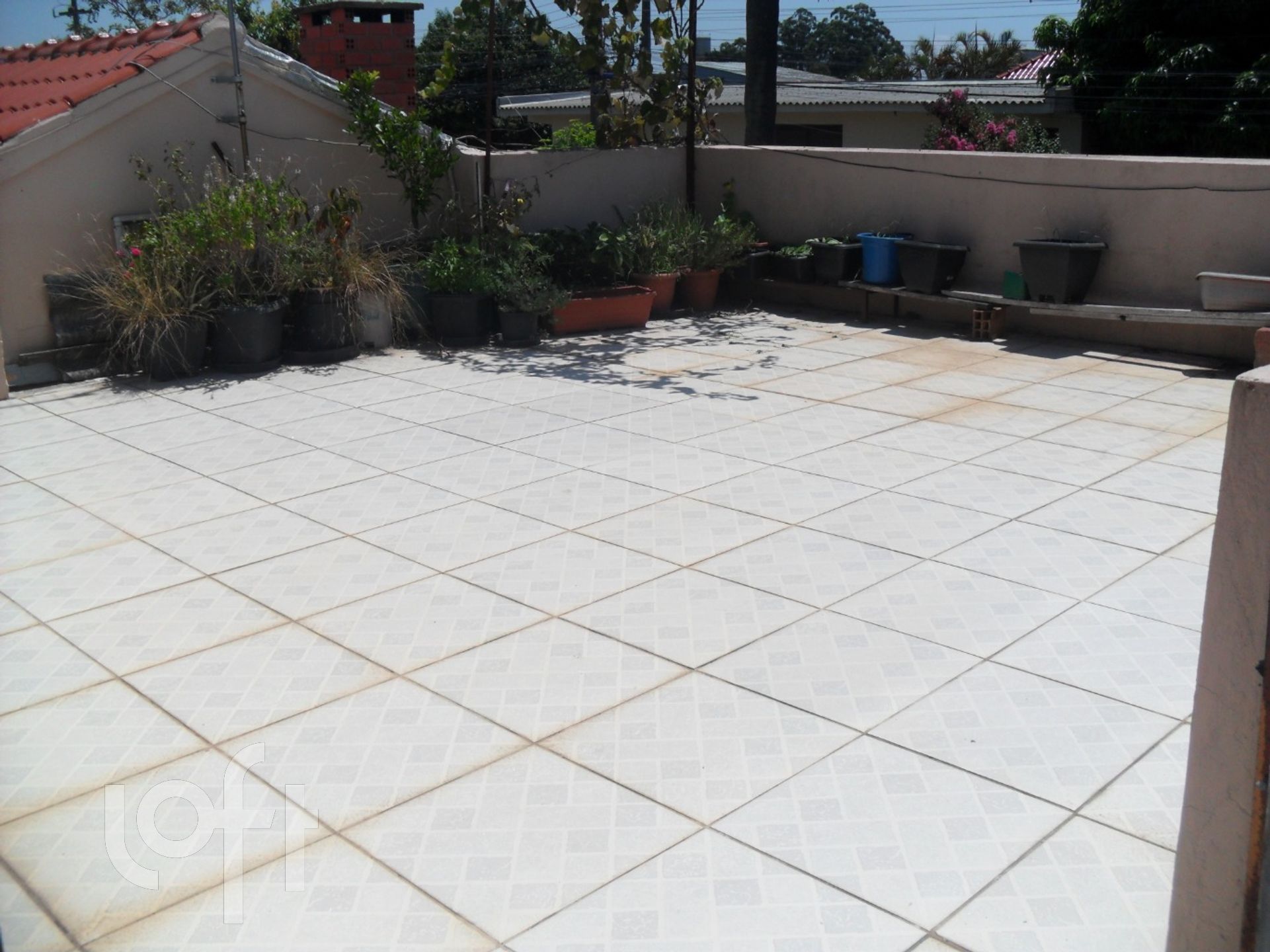 Imagem da propriedade 19