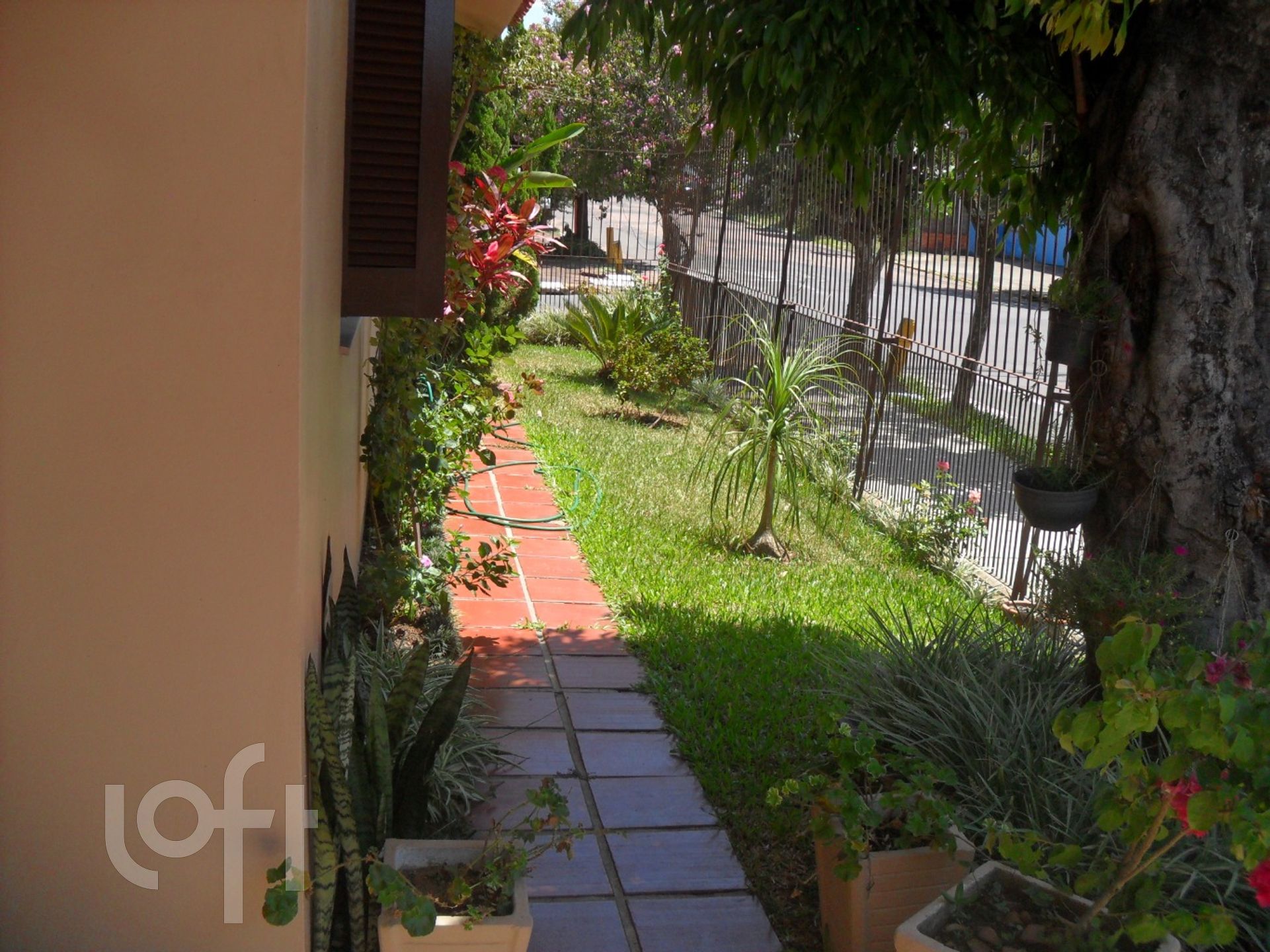 Imagem da propriedade 21