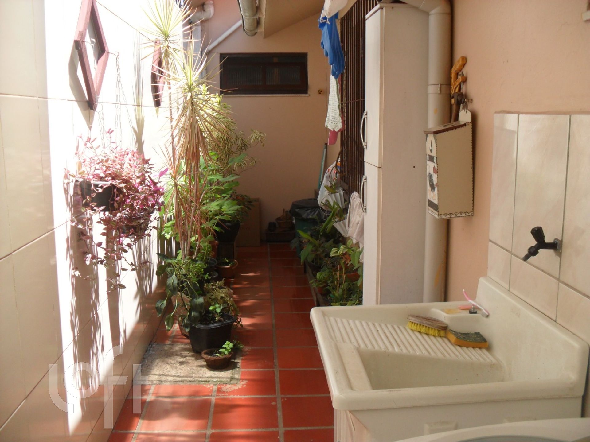 Imagem da propriedade 10