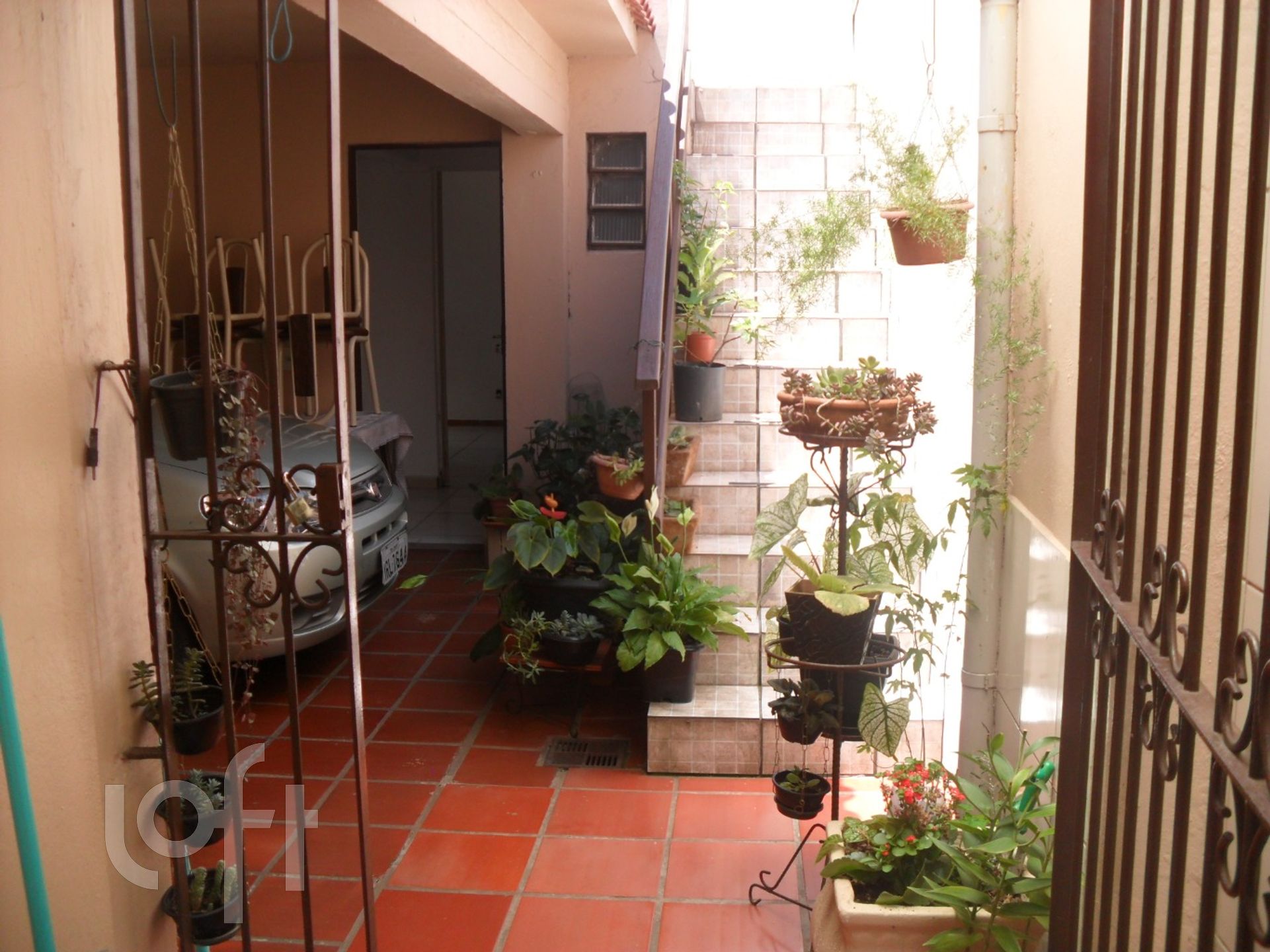 Imagem da propriedade 12