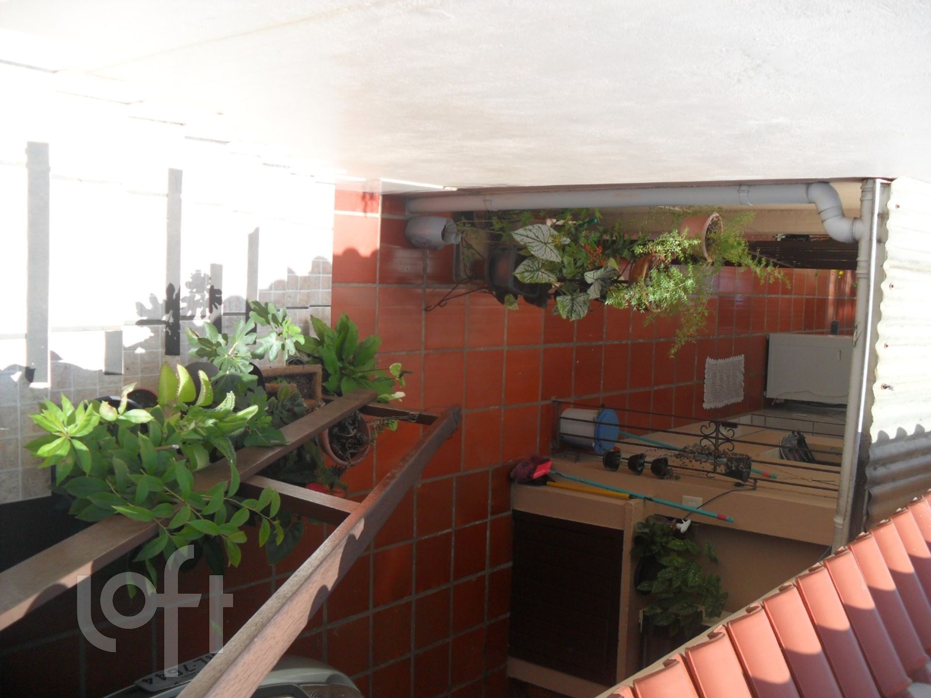 Imagem da propriedade 20