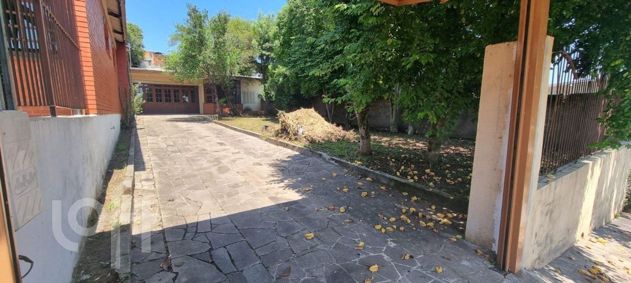 Imagem da propriedade 3