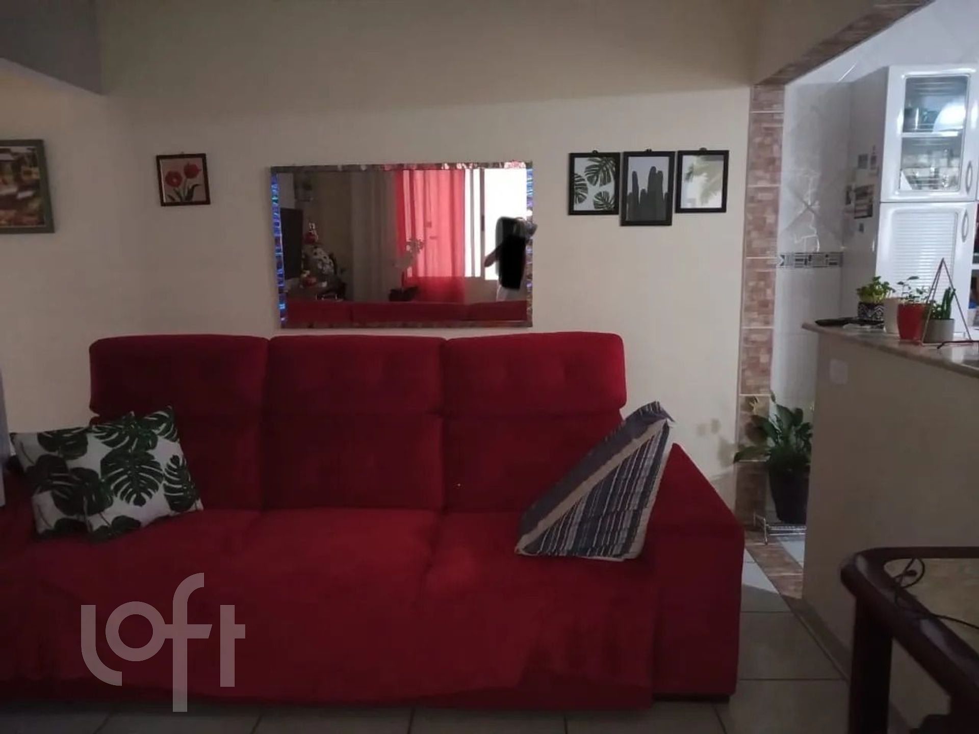 Imagem da propriedade 3