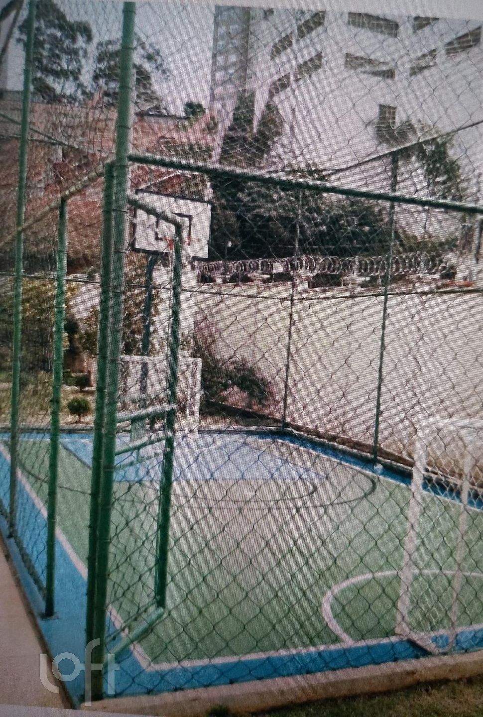 Imagem da propriedade 5