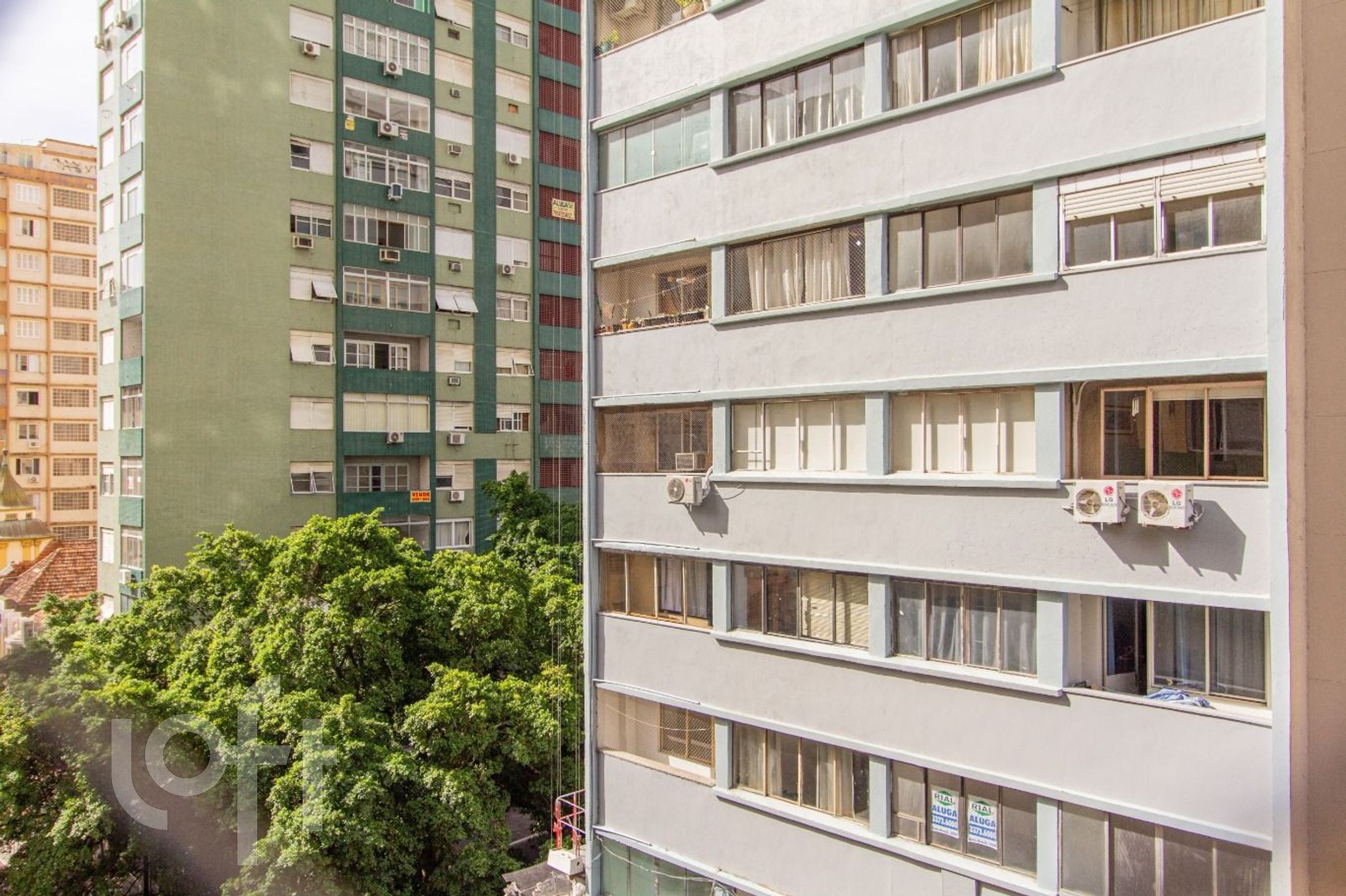 Imagem da propriedade 13