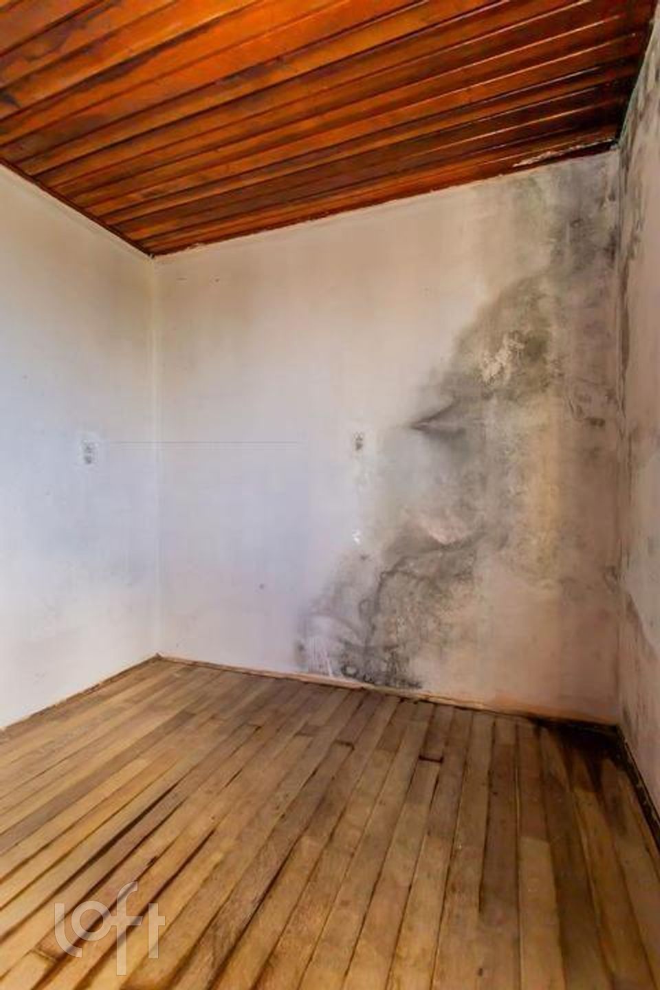 Imagem da propriedade 13