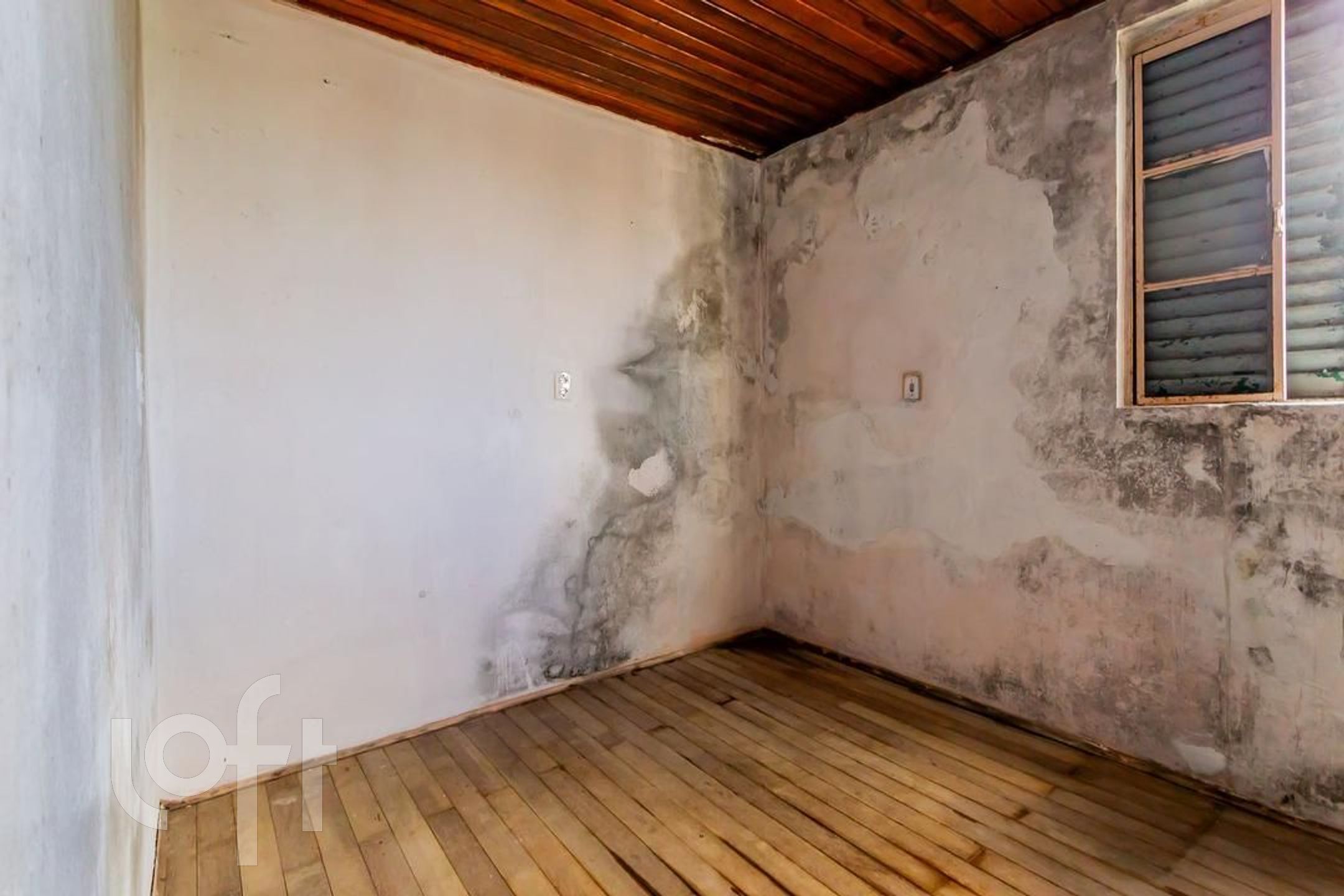 Imagem da propriedade 12