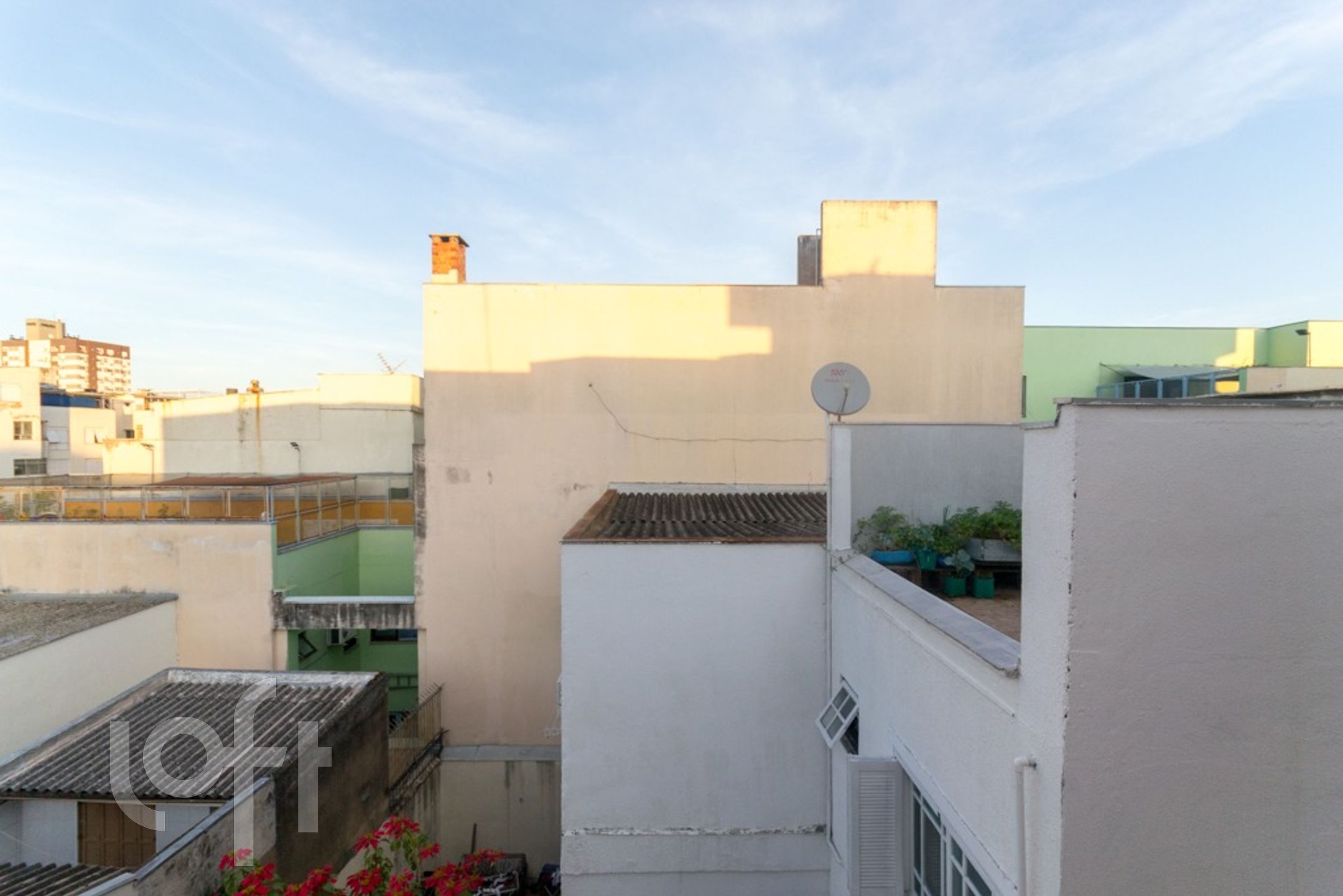 Imagem da propriedade 12