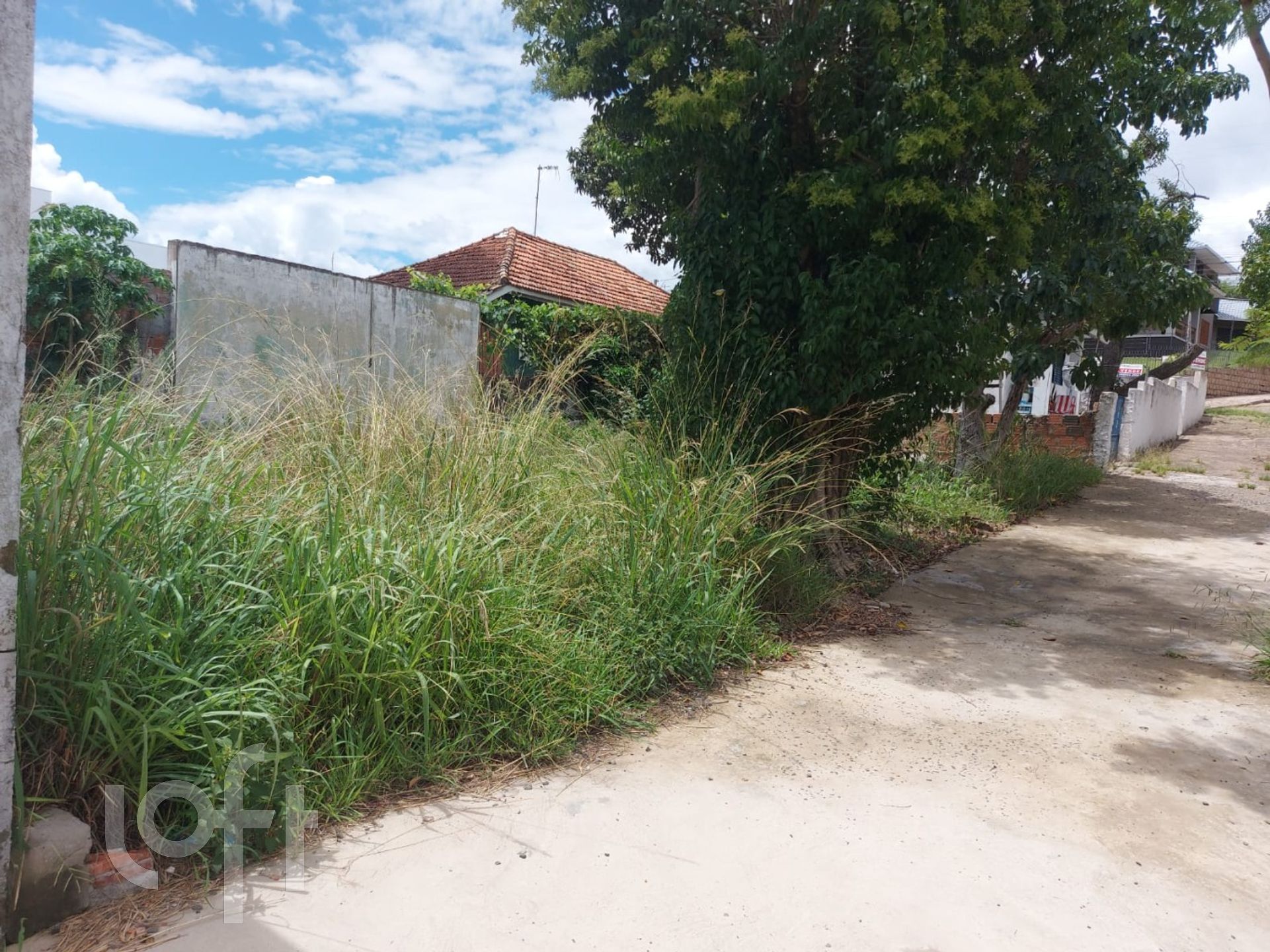 Imagem da propriedade 6