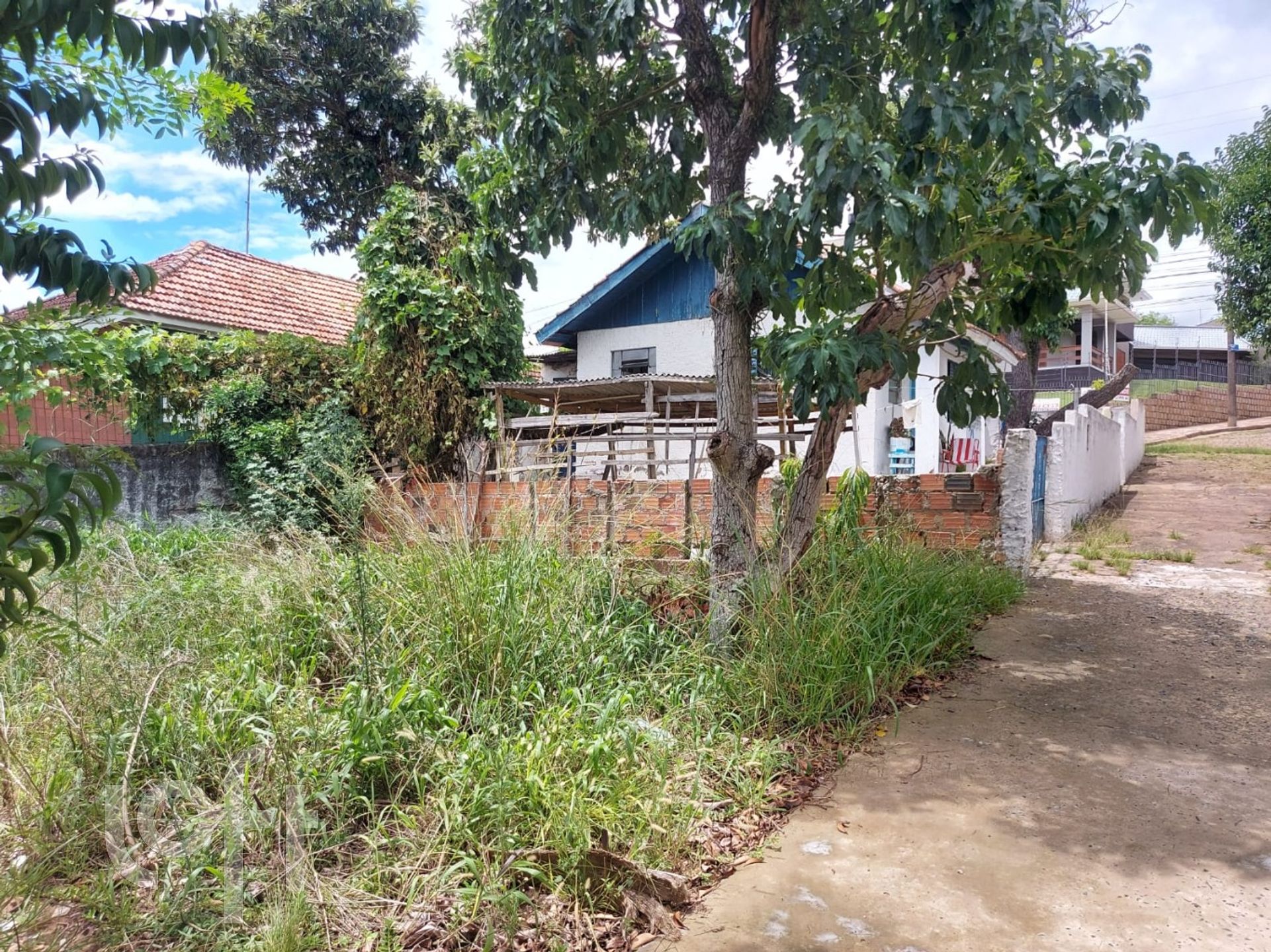 Imagem da propriedade 3