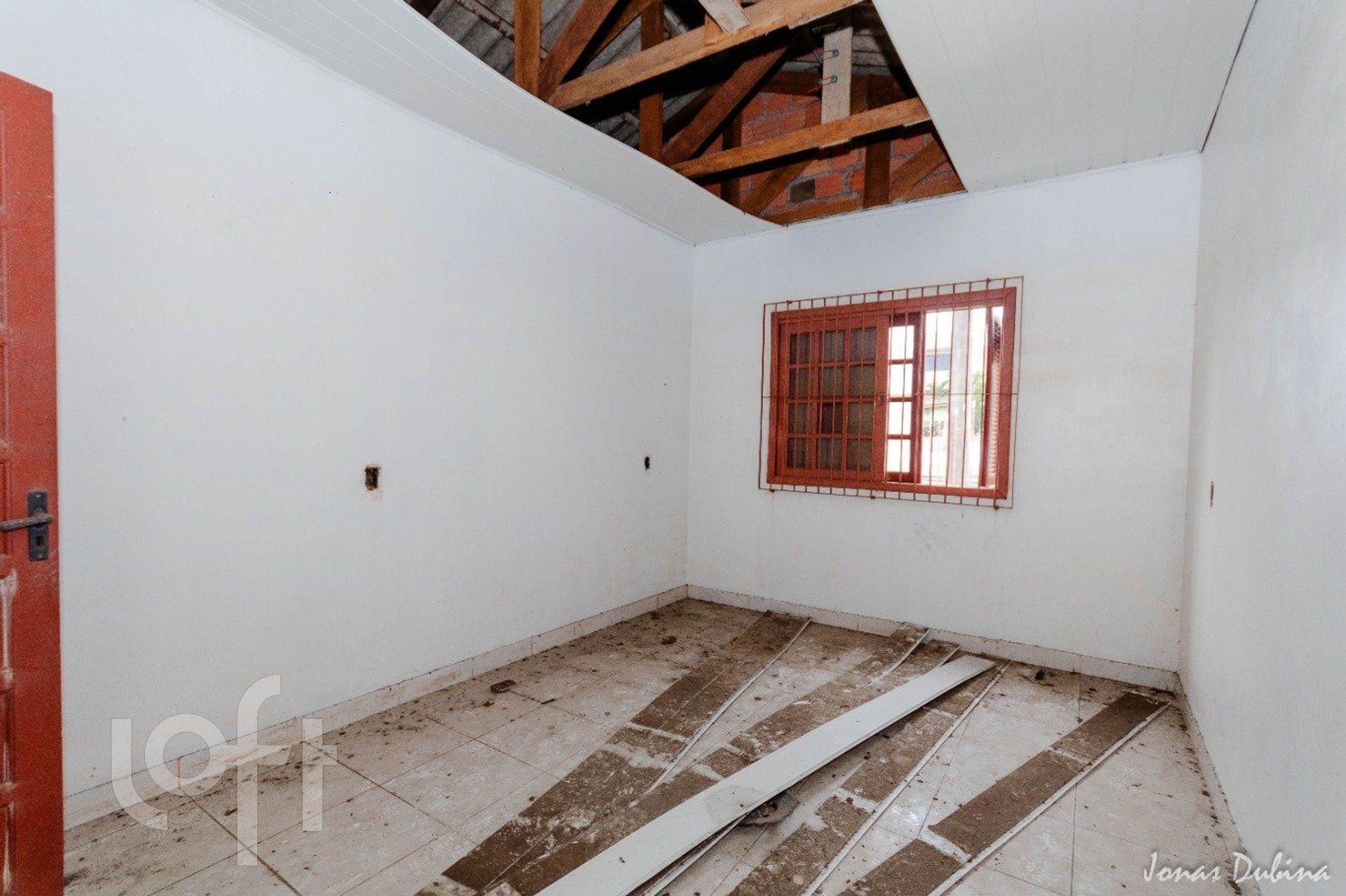 Imagem da propriedade 6