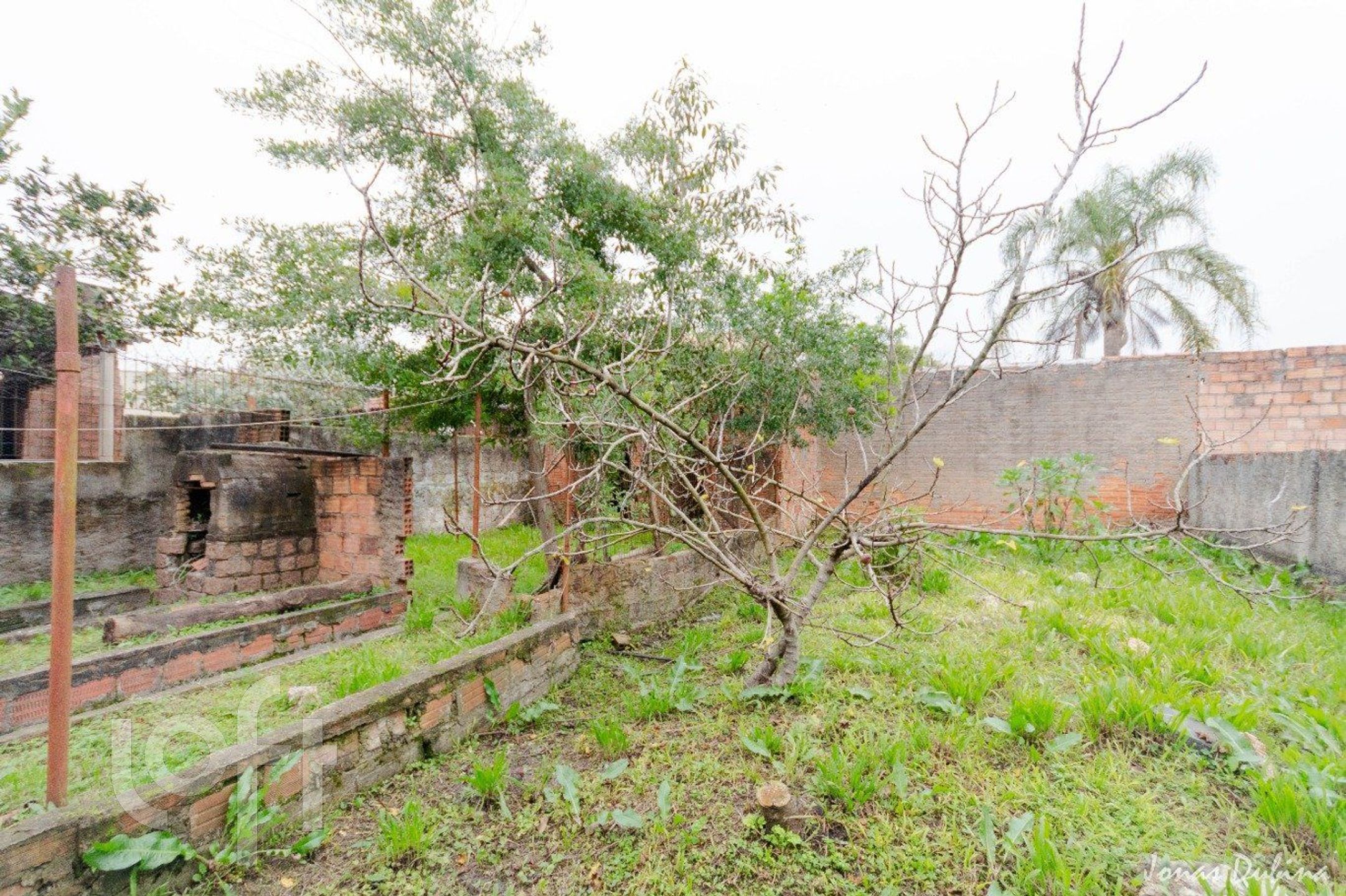 Imagem da propriedade 20