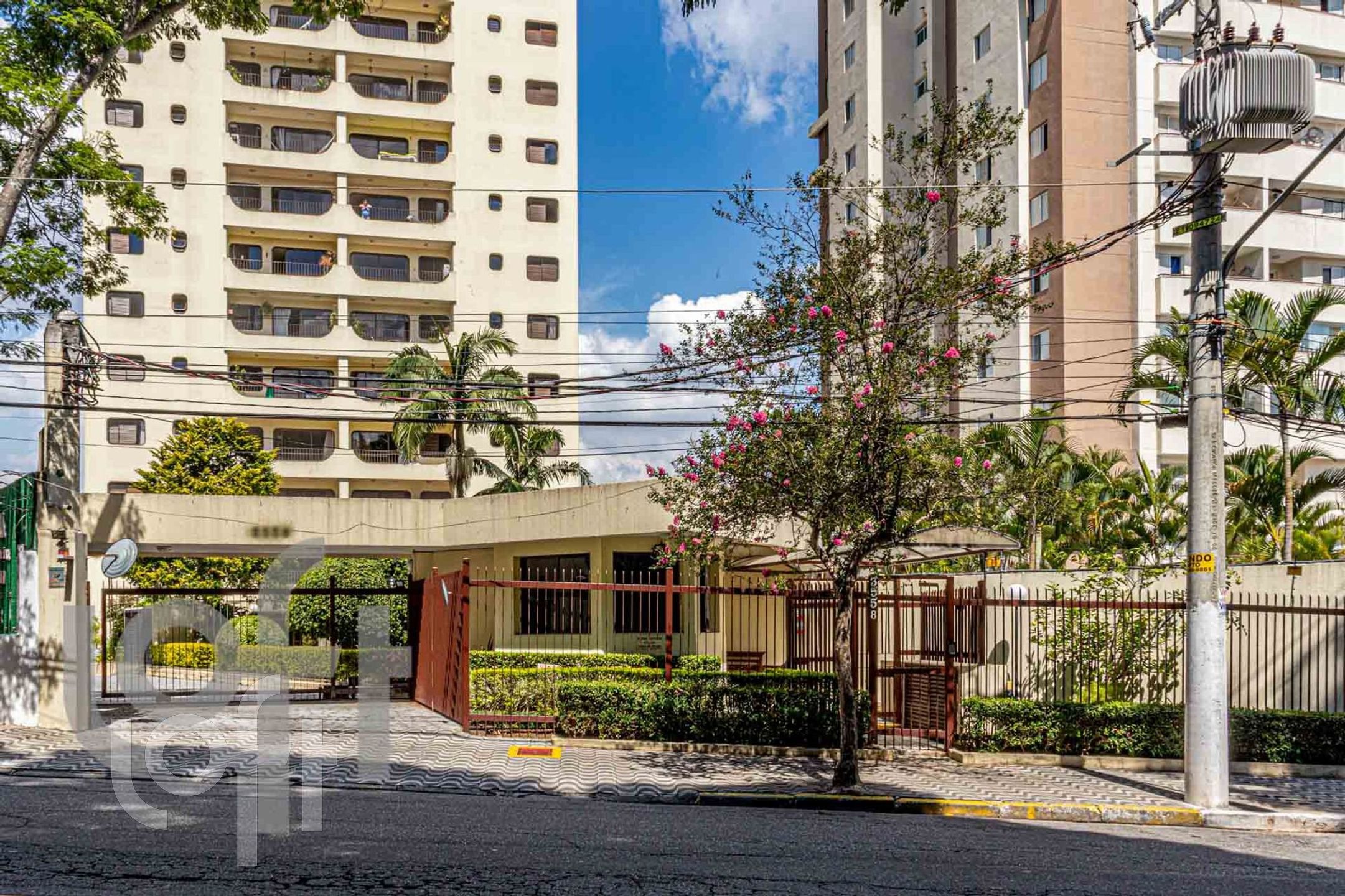 Imagem da propriedade 8