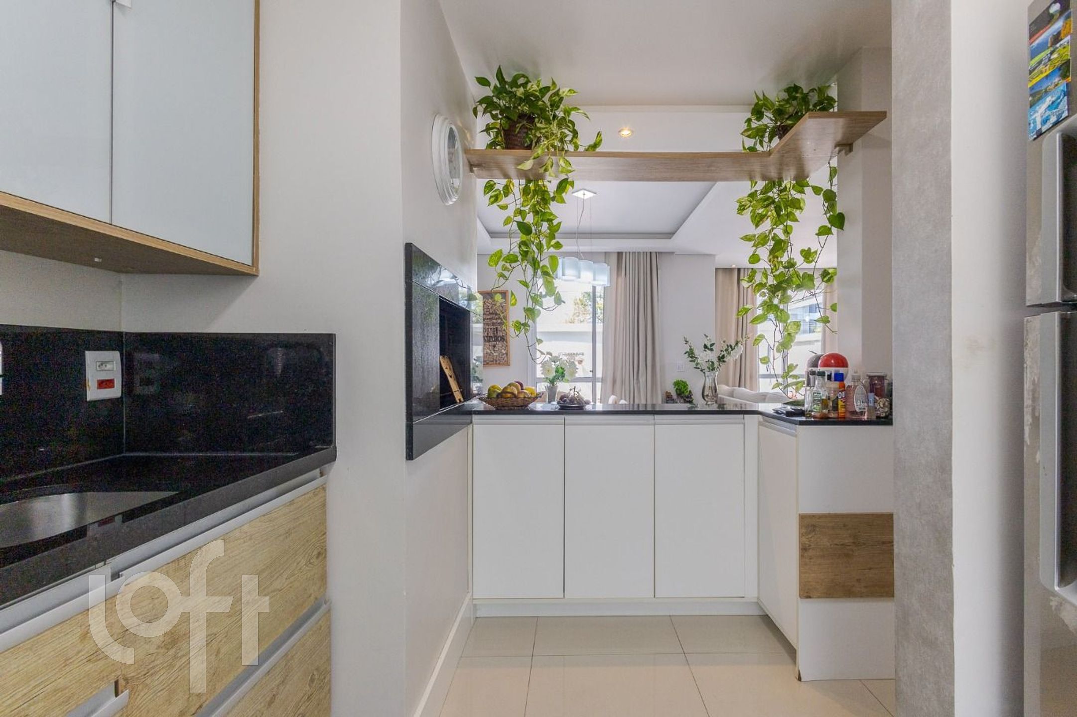 Imagem da propriedade 14